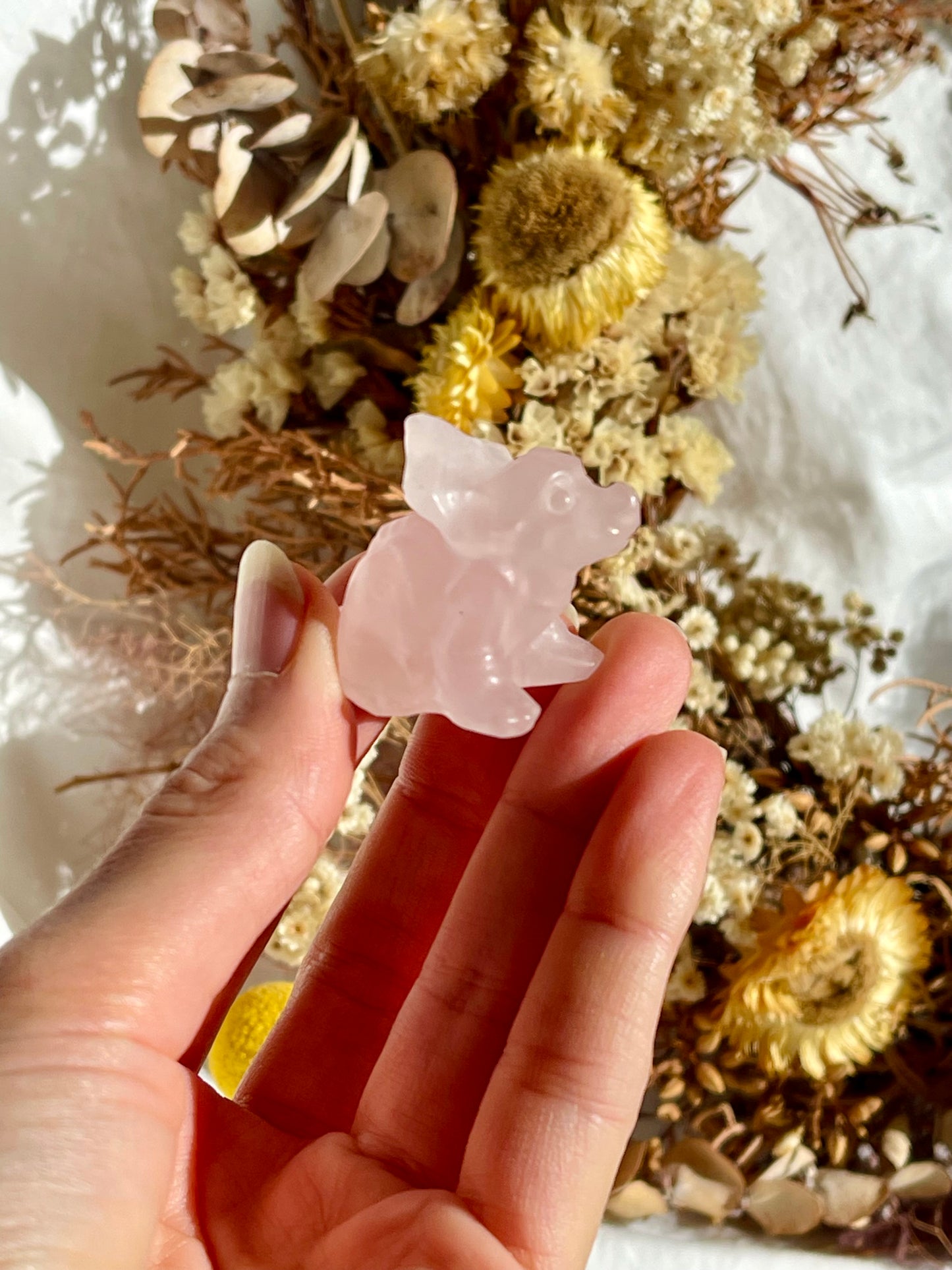 Rose Quartz Baby Triceratops