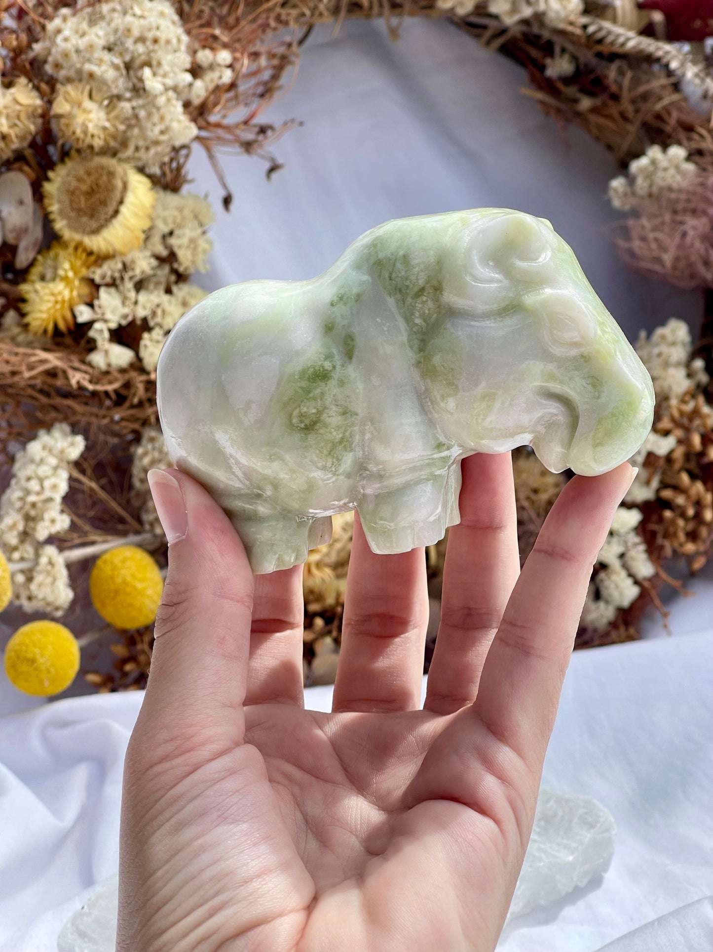 Lemon Jade Hippo