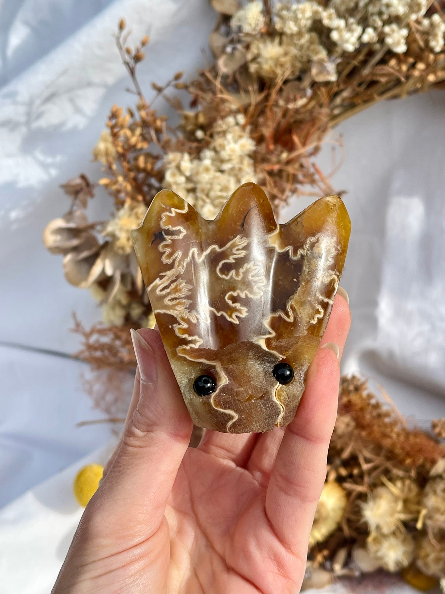Ammonite Critter #1