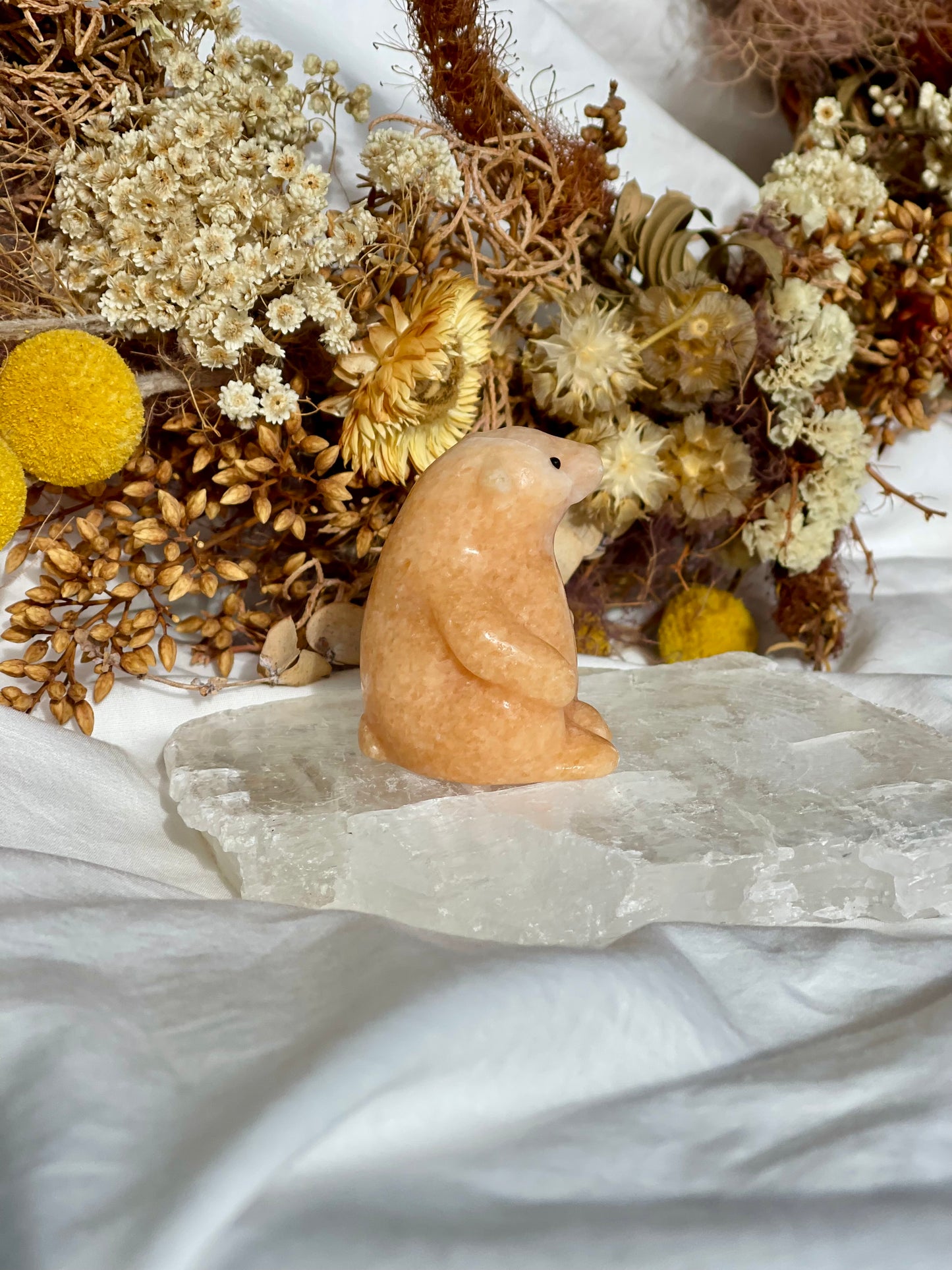 Sunstone Bear