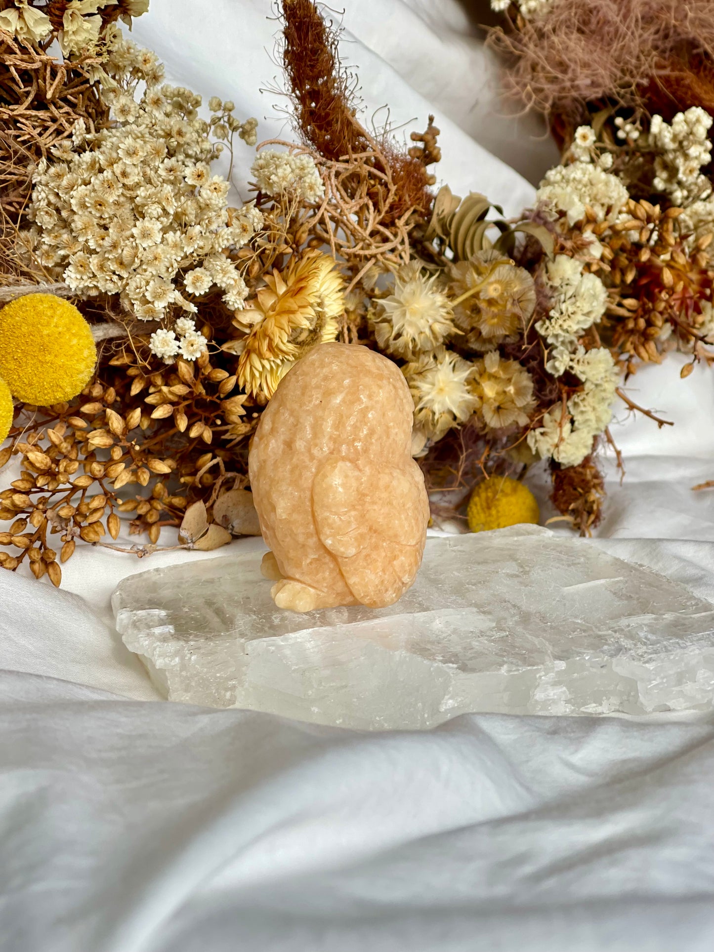 Sunstone Owl