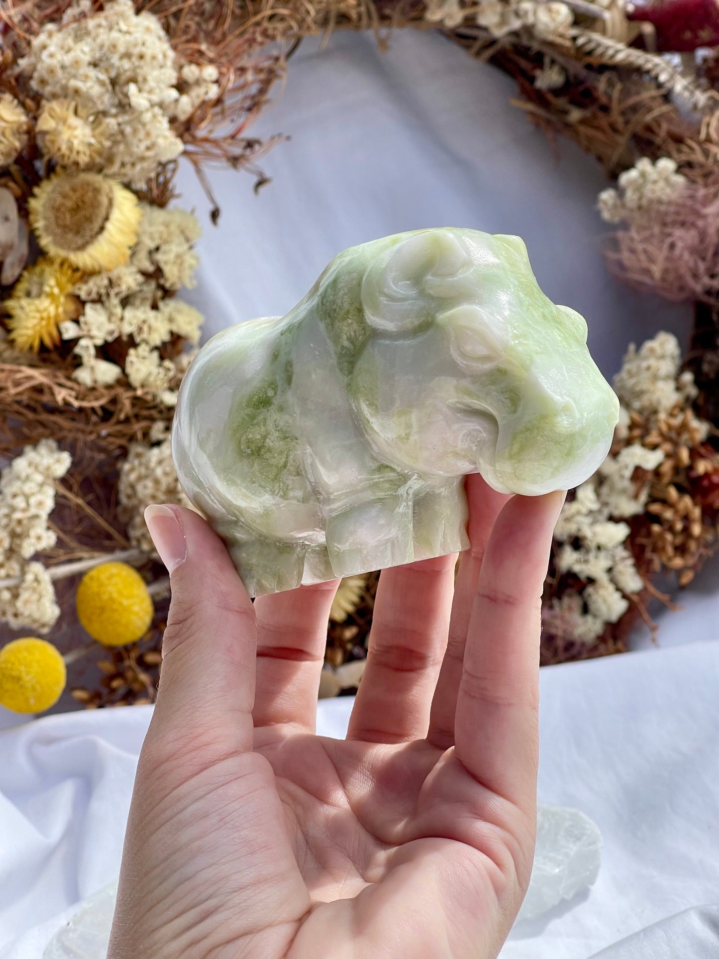 Lemon Jade Hippo