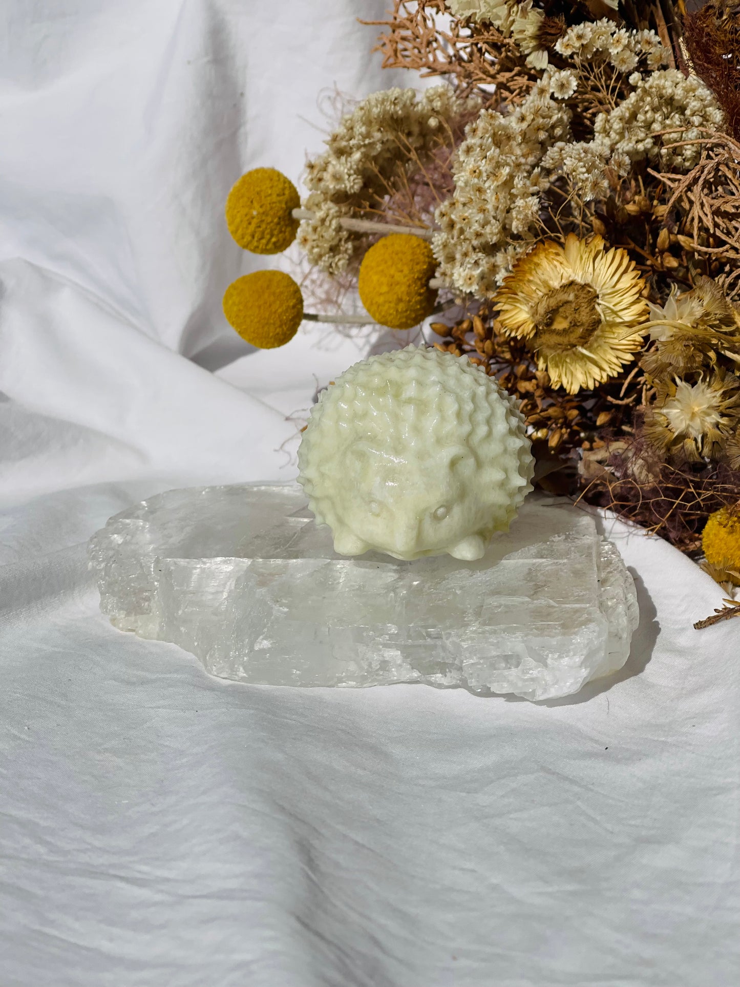 Lemon Jade Hedgehog #2