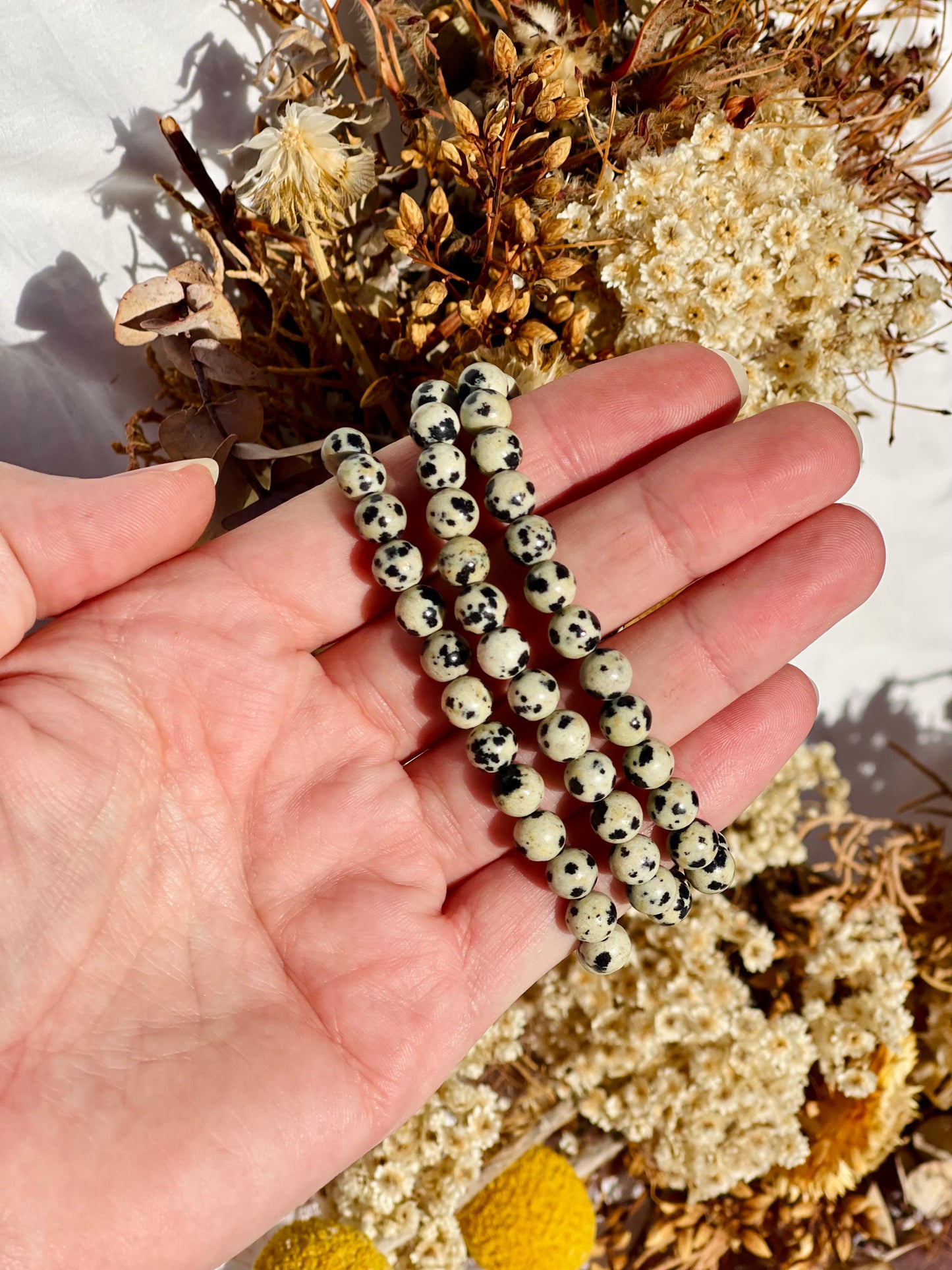 Dalmatian Jasper Bracelet | 6mm