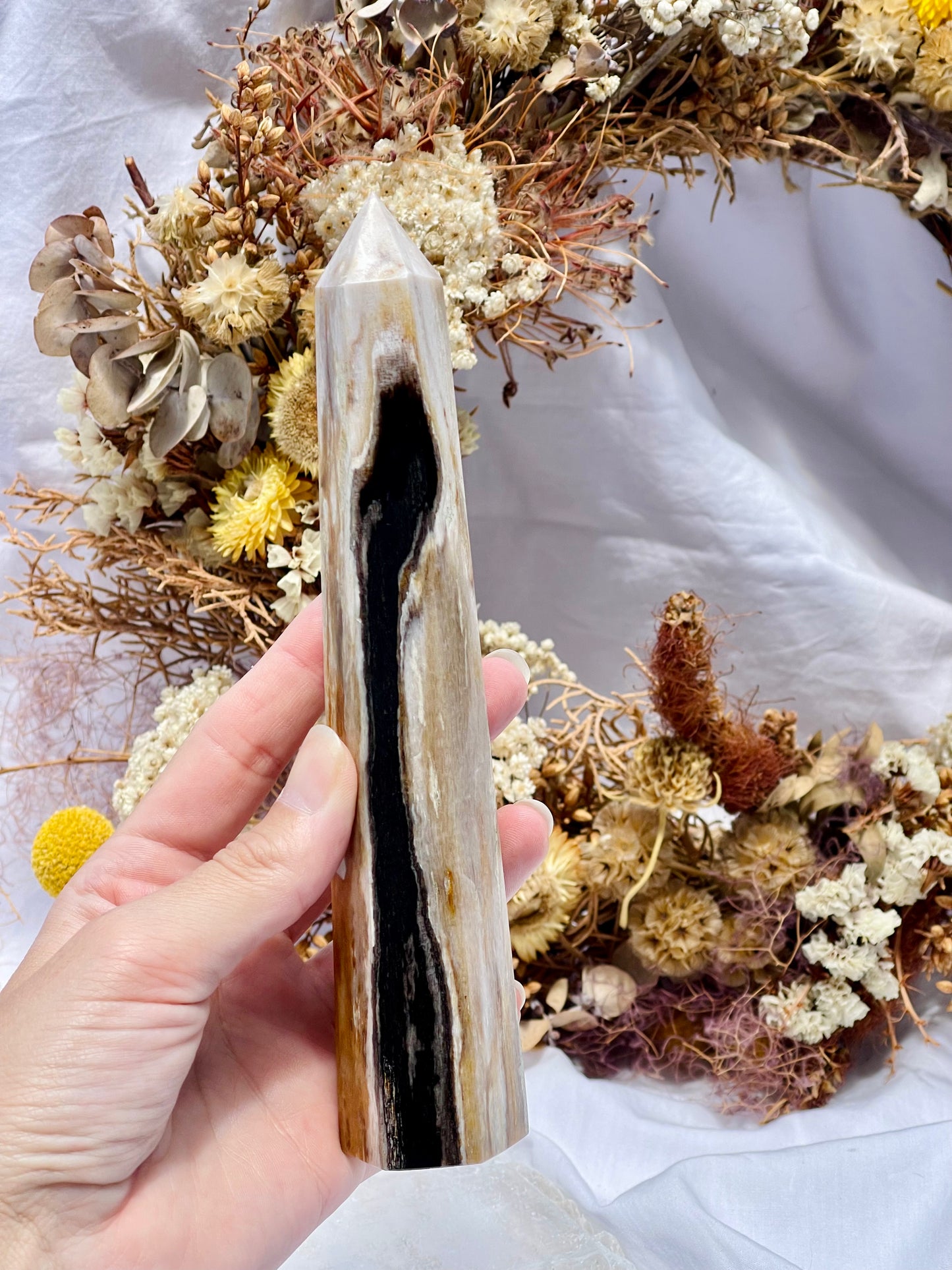 Petrified Wood Point #1