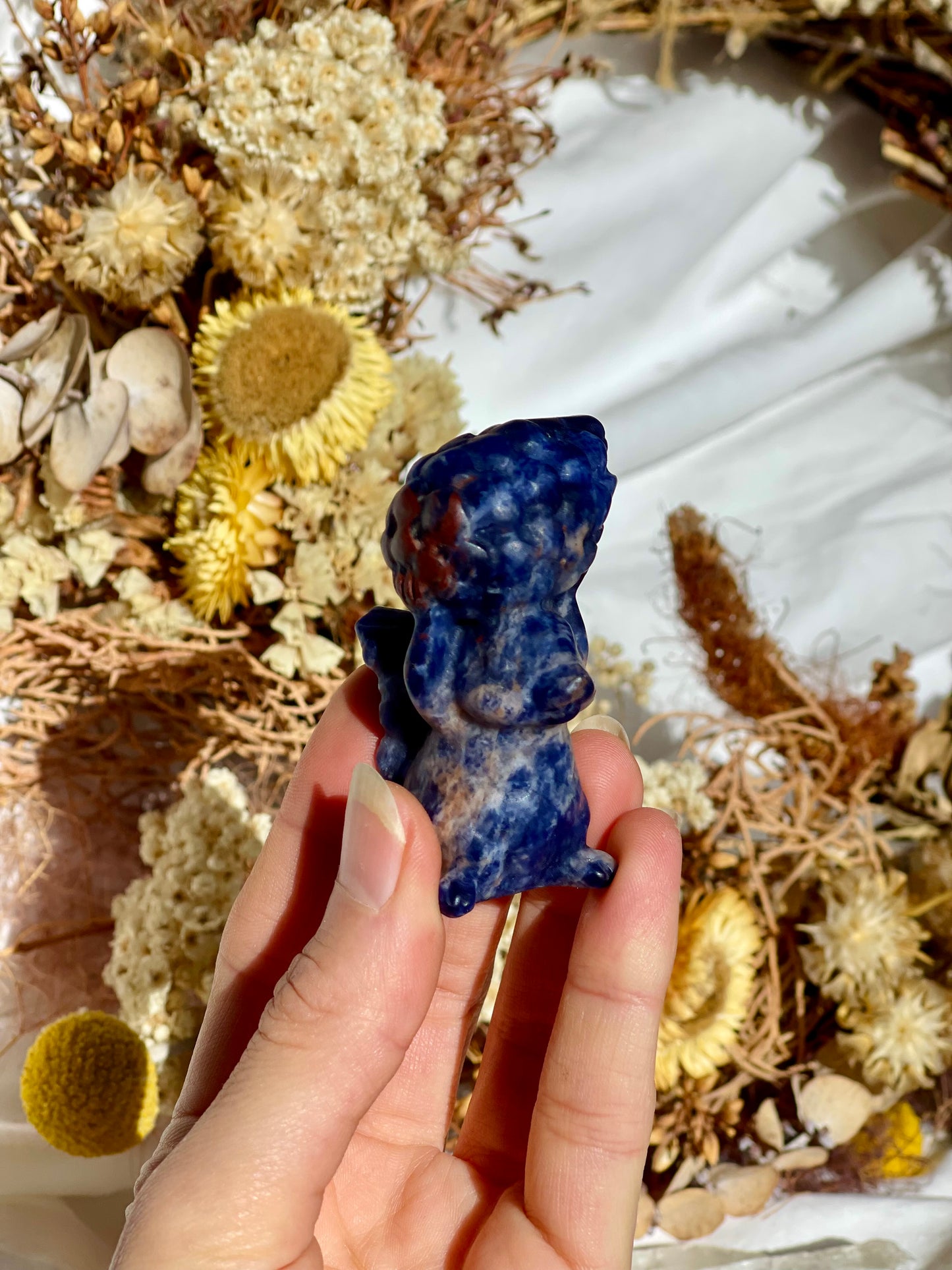 Sodalite Squirrel