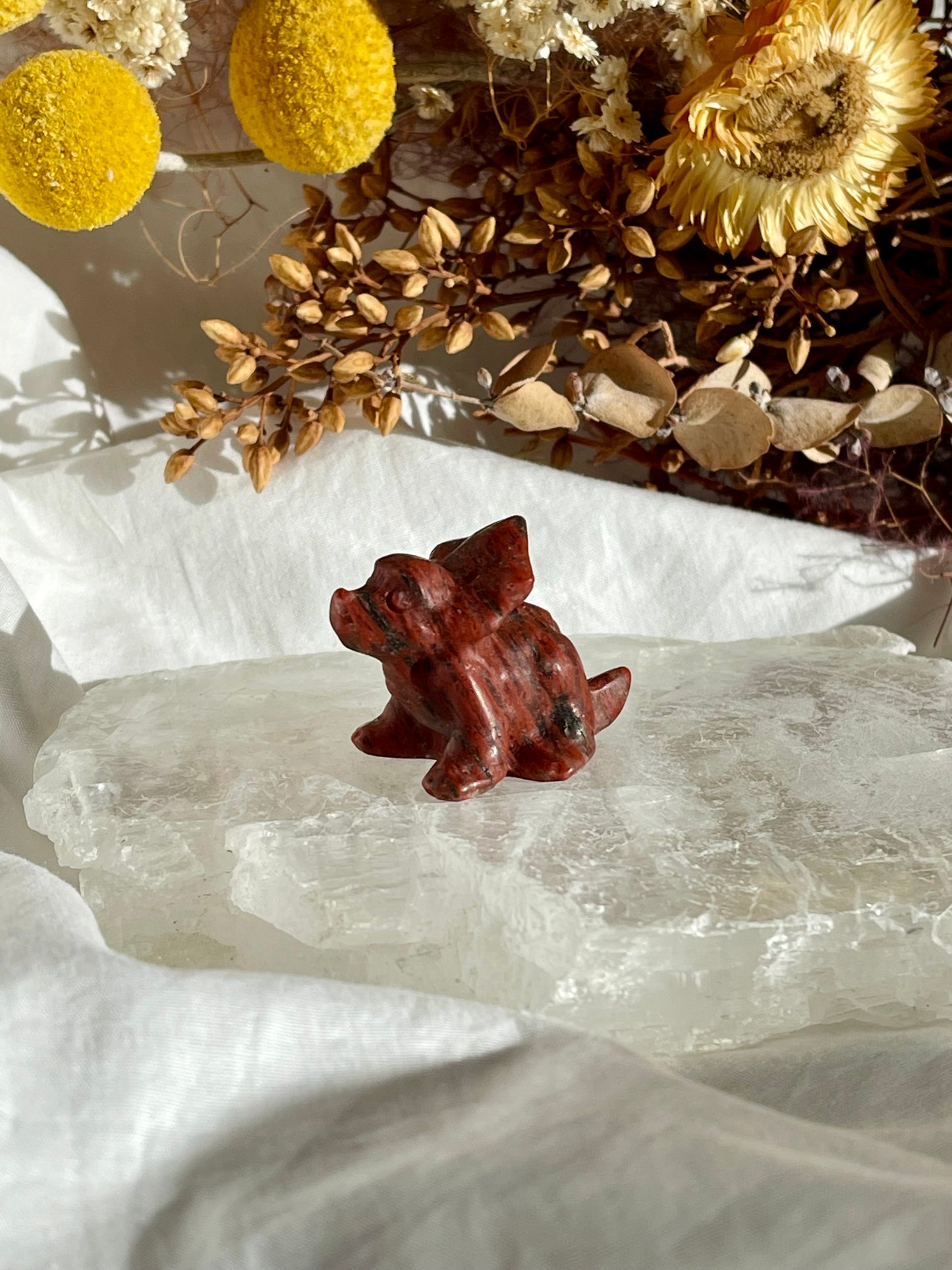 Red Jade Baby Triceratops