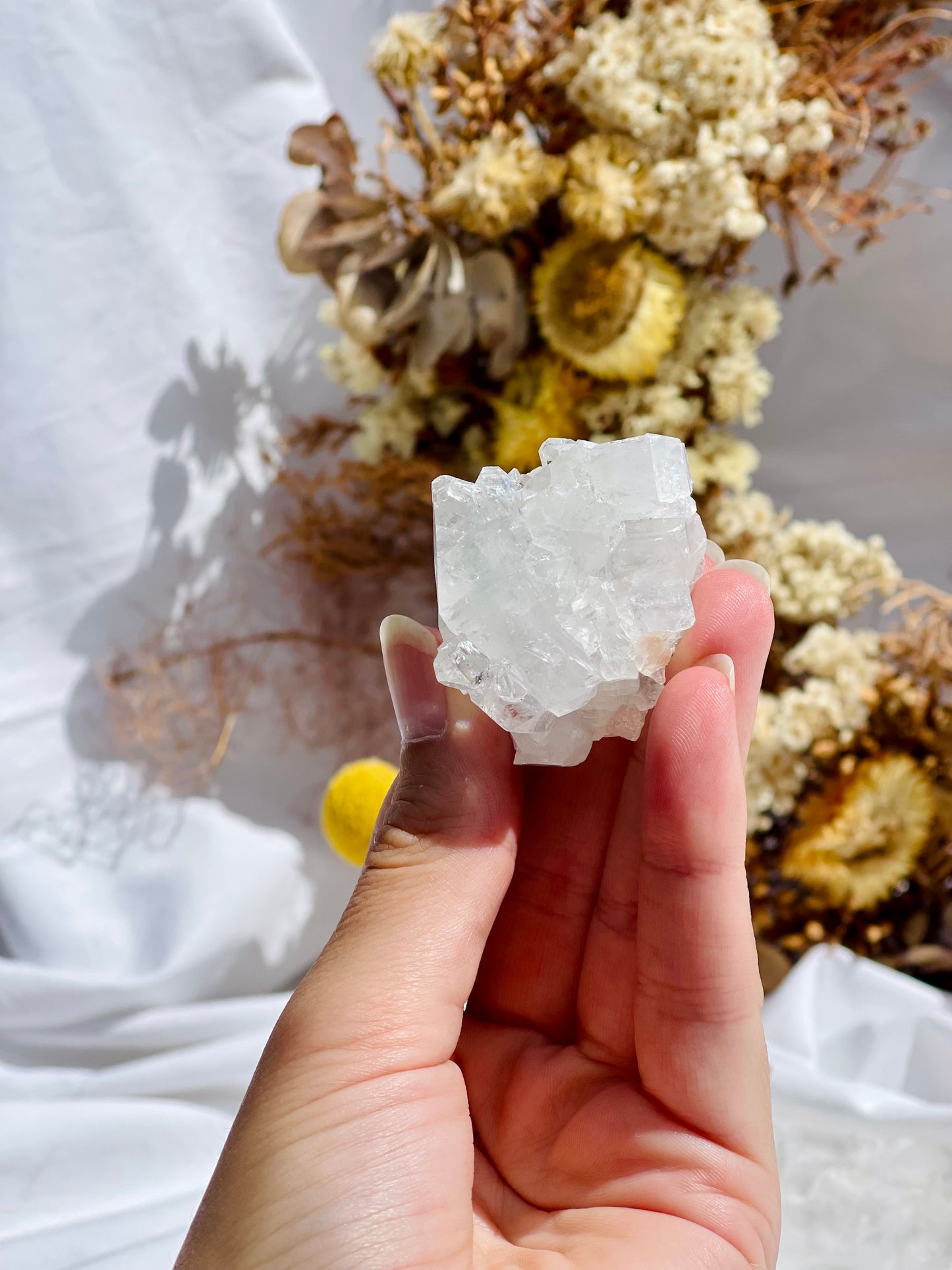 Apophyllite Specimen #1