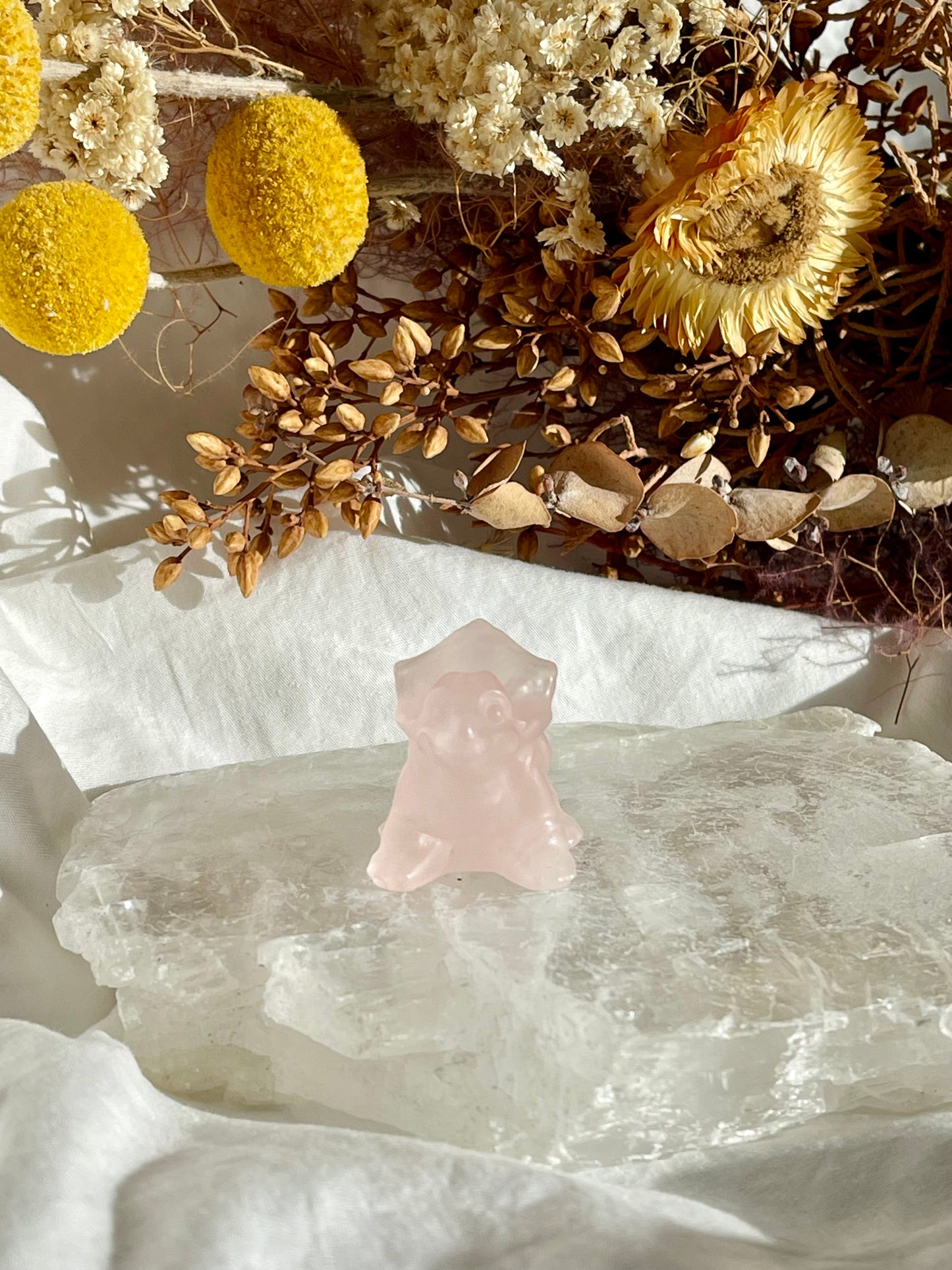 Rose Quartz Baby Triceratops