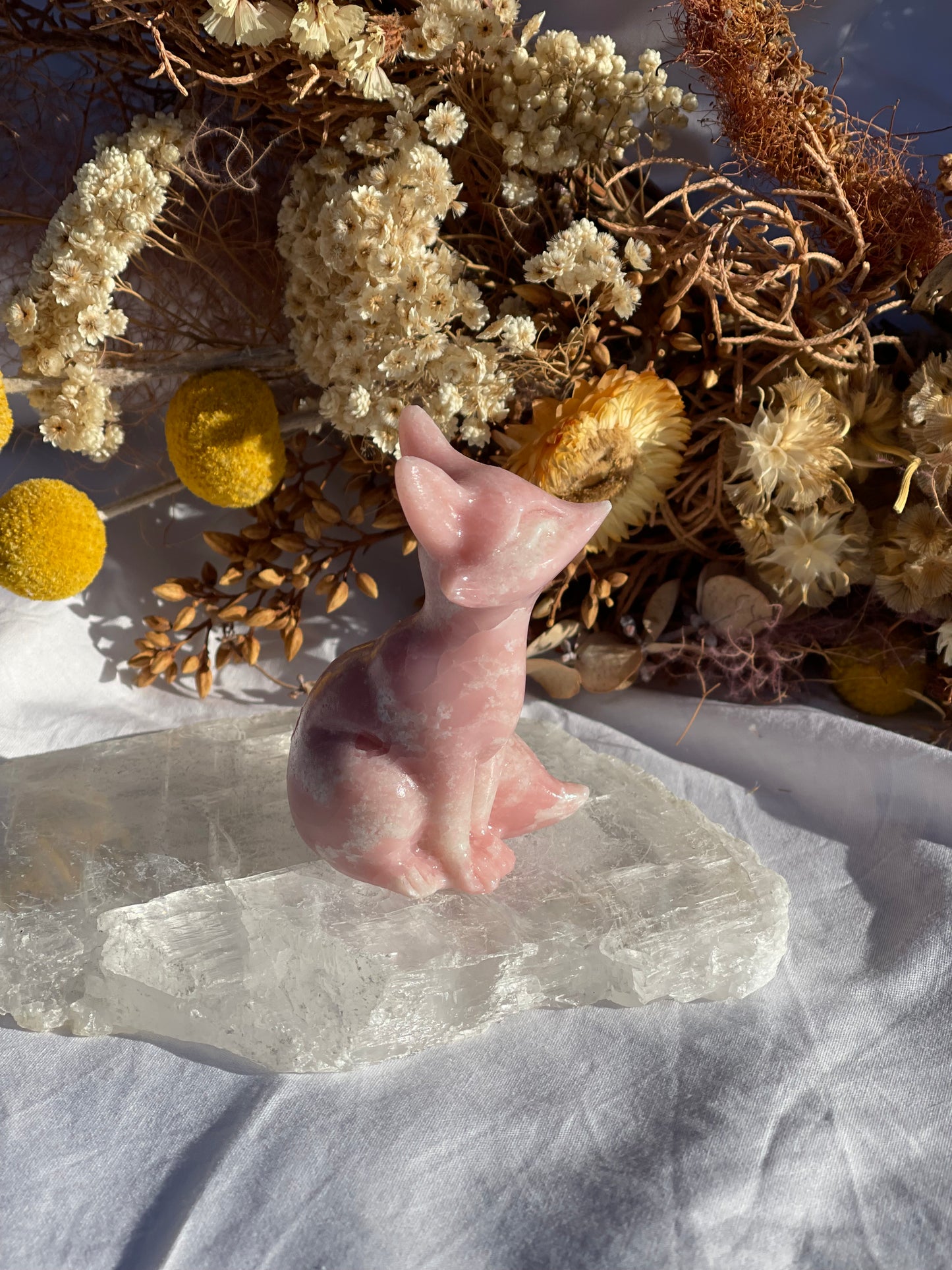 Pink Opal Fox
