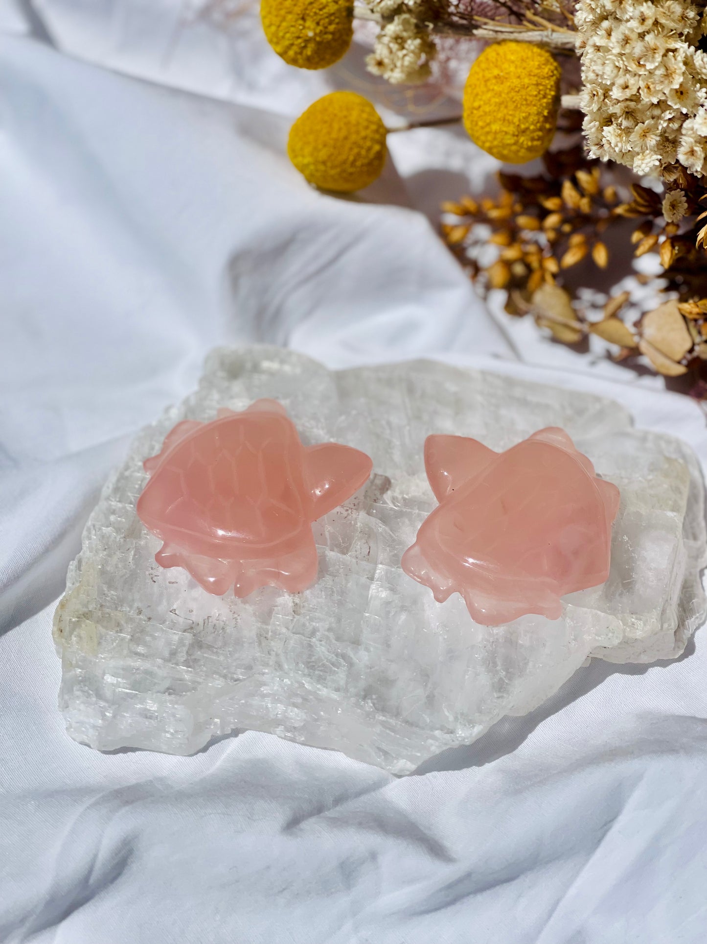 Rose Quartz Turtle