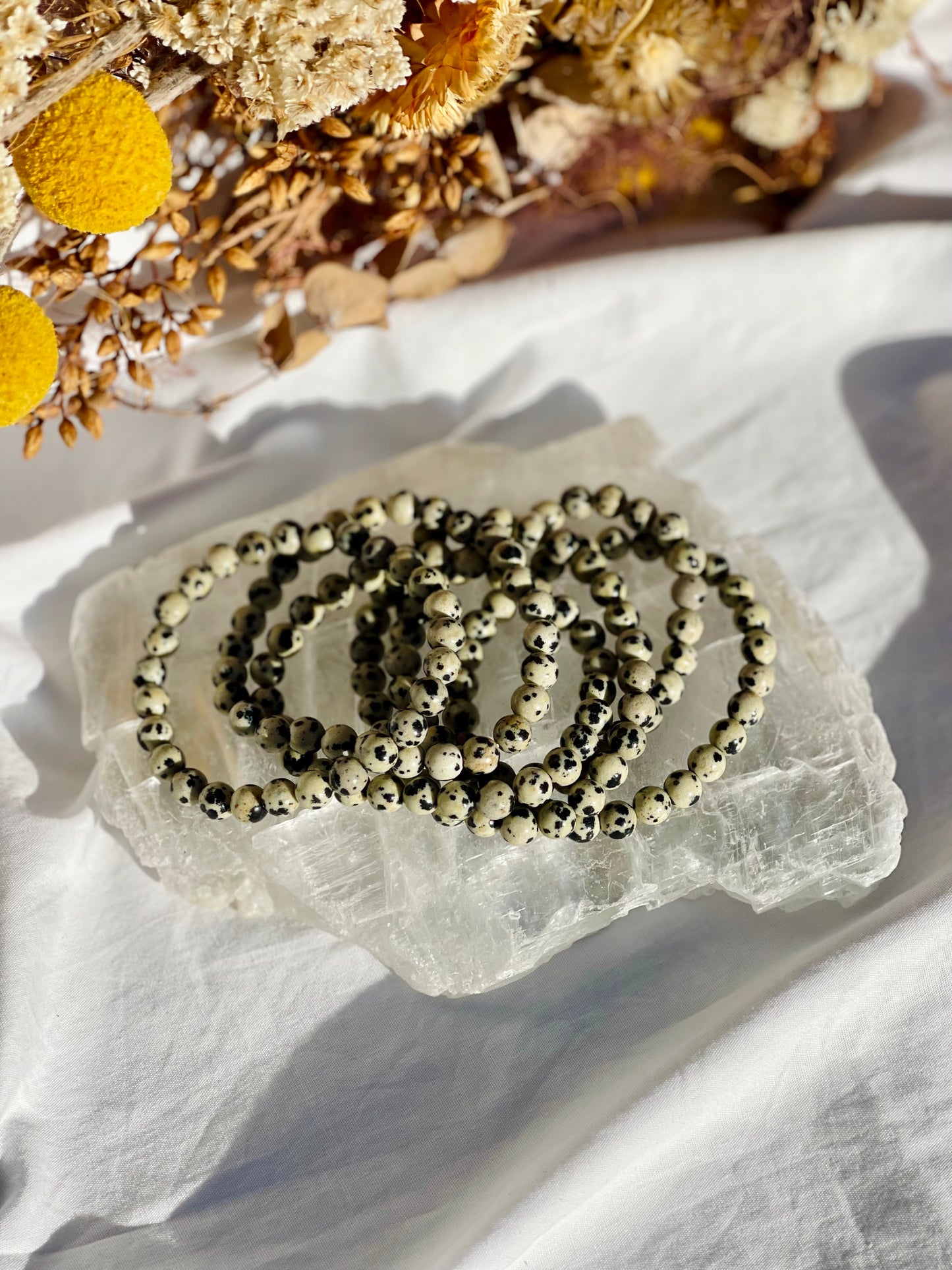 Dalmatian Jasper Bracelet | 6mm