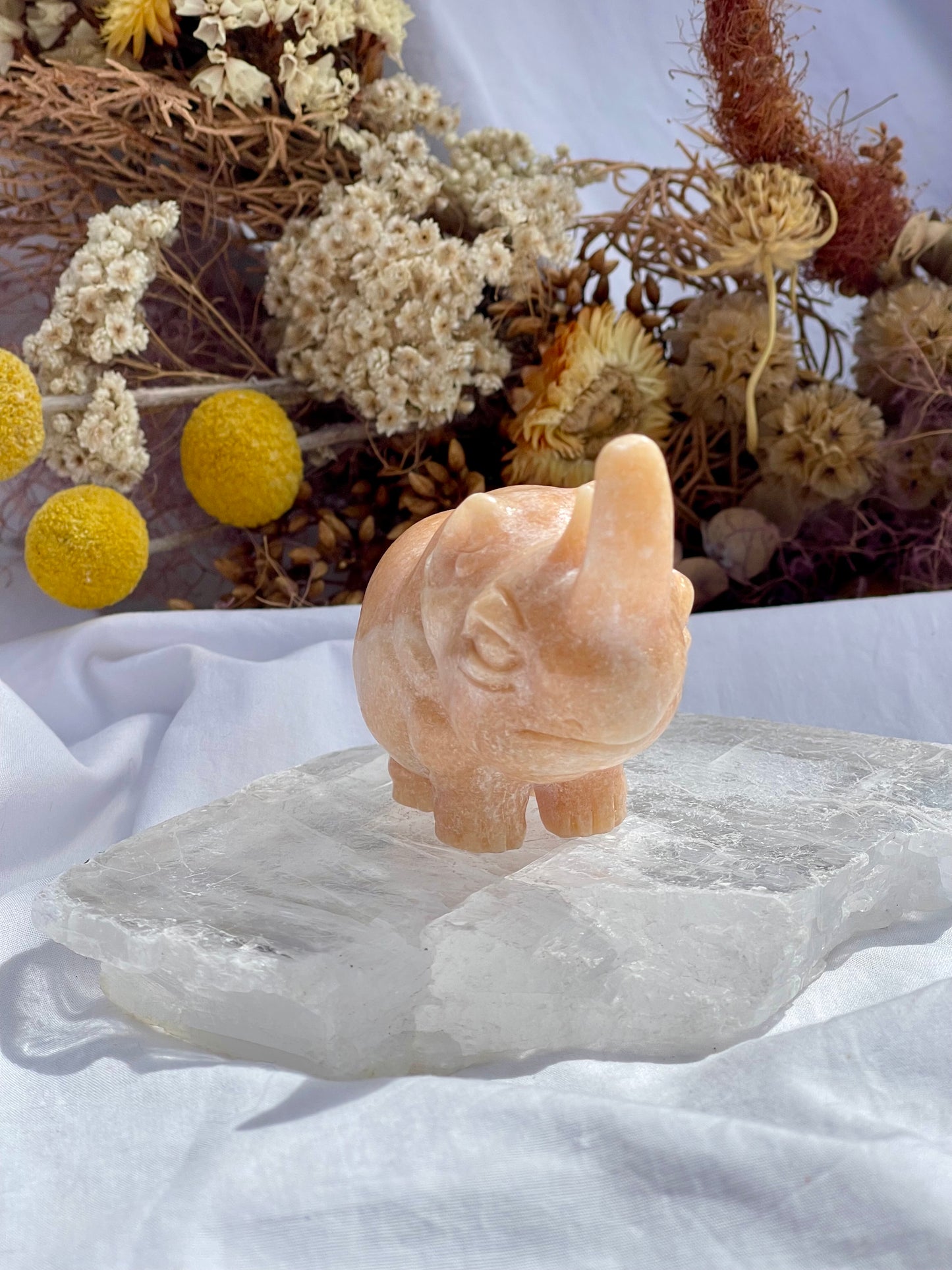 Sunstone Rhino