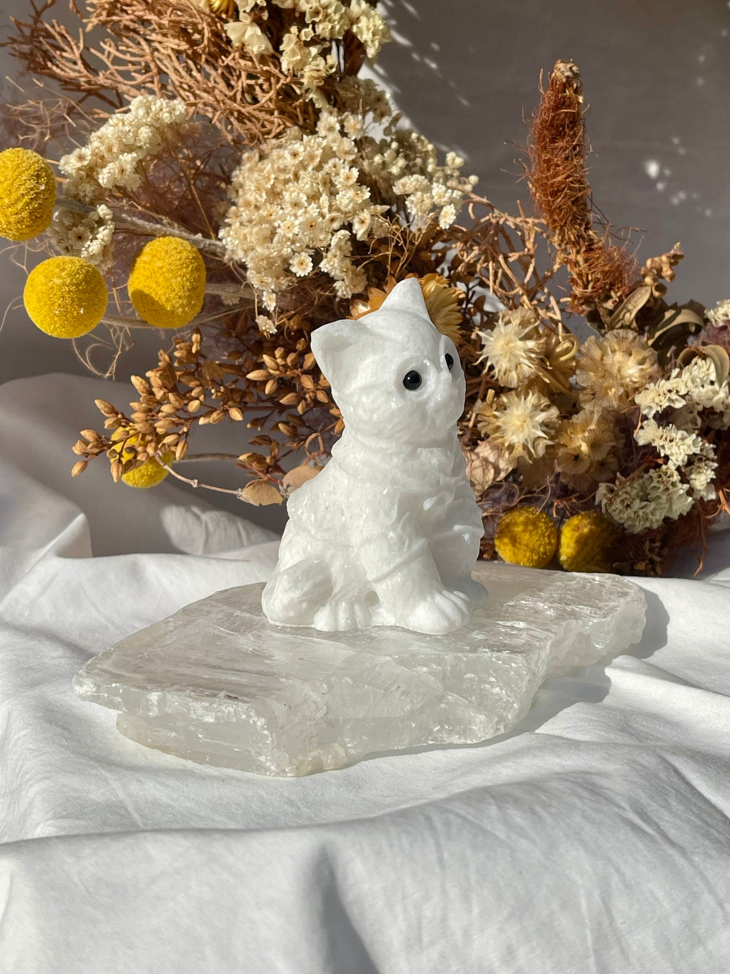White Jade Wizard Cat