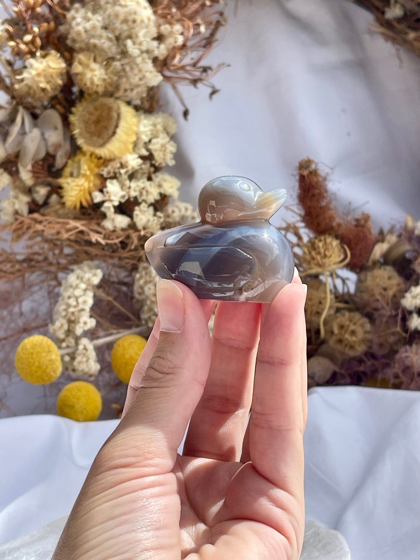 Agate Duck #1