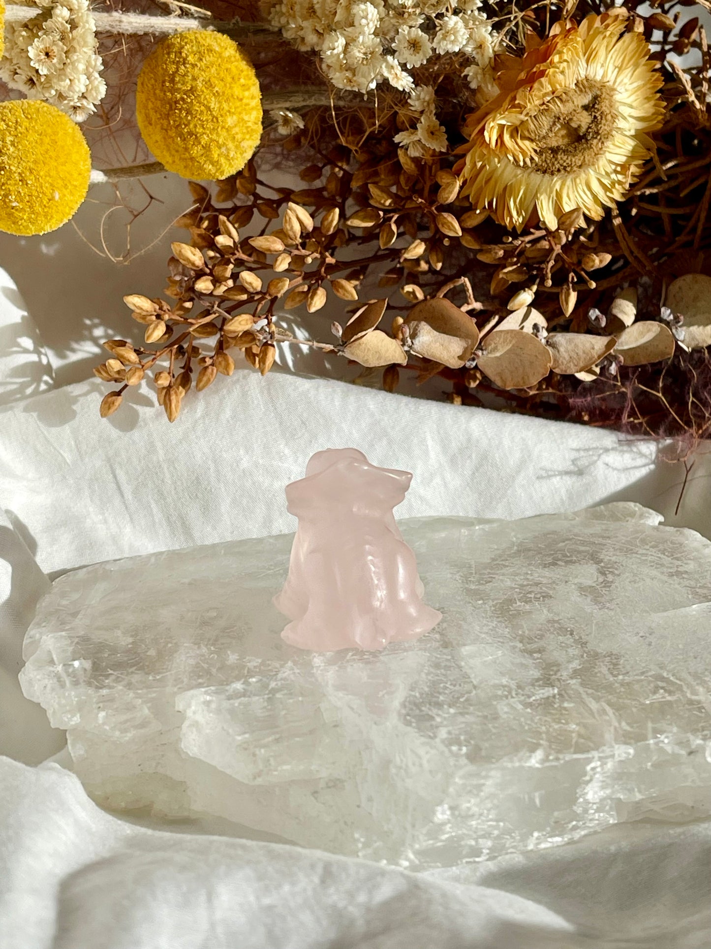 Rose Quartz Baby Triceratops
