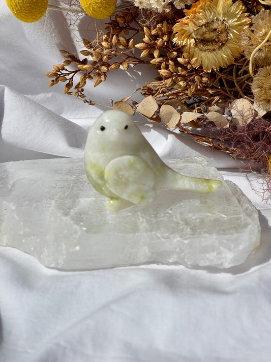 Lemon Jade Bird 2