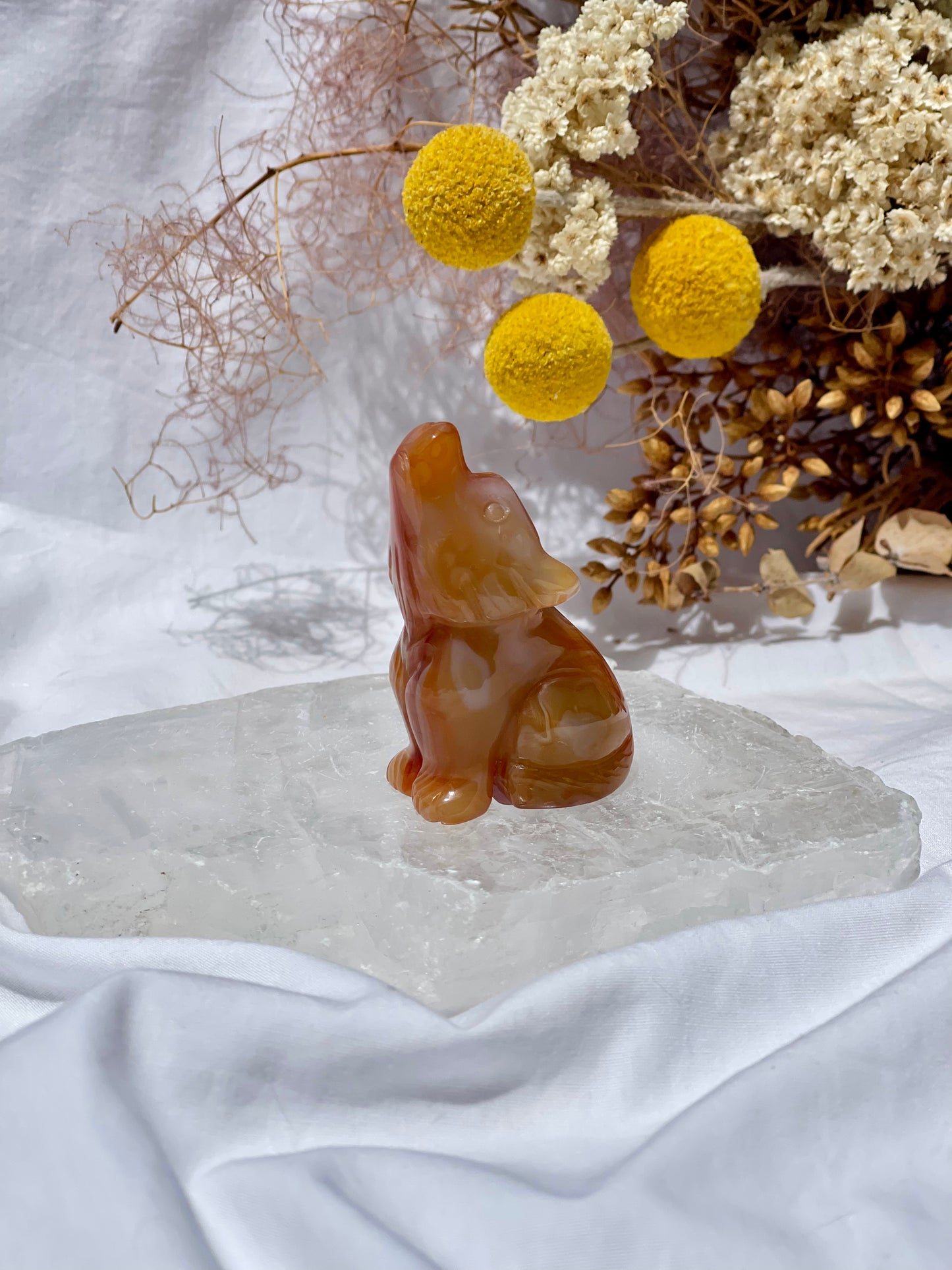 Carnelian Wolf