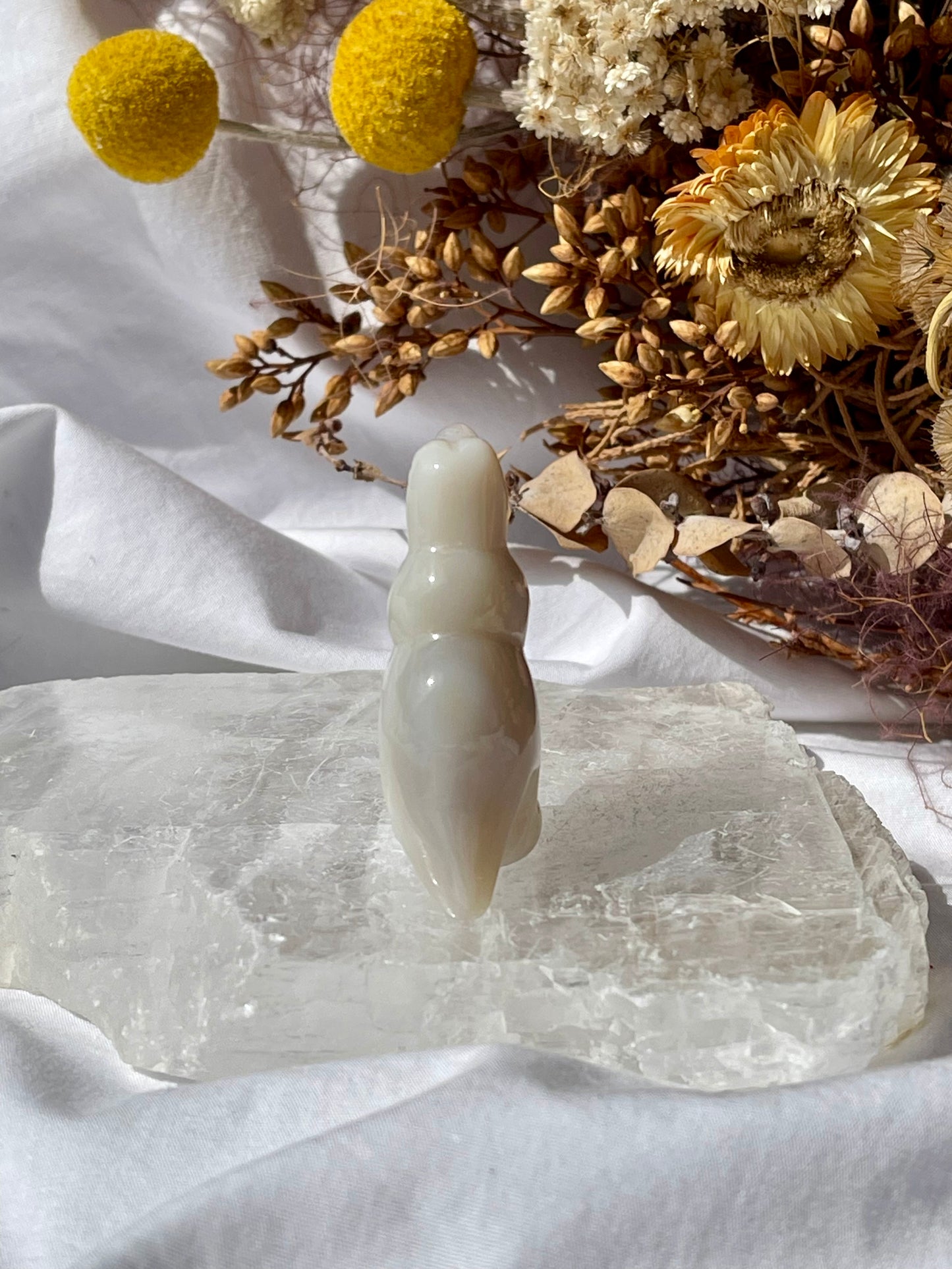 Agate T-Rex #3