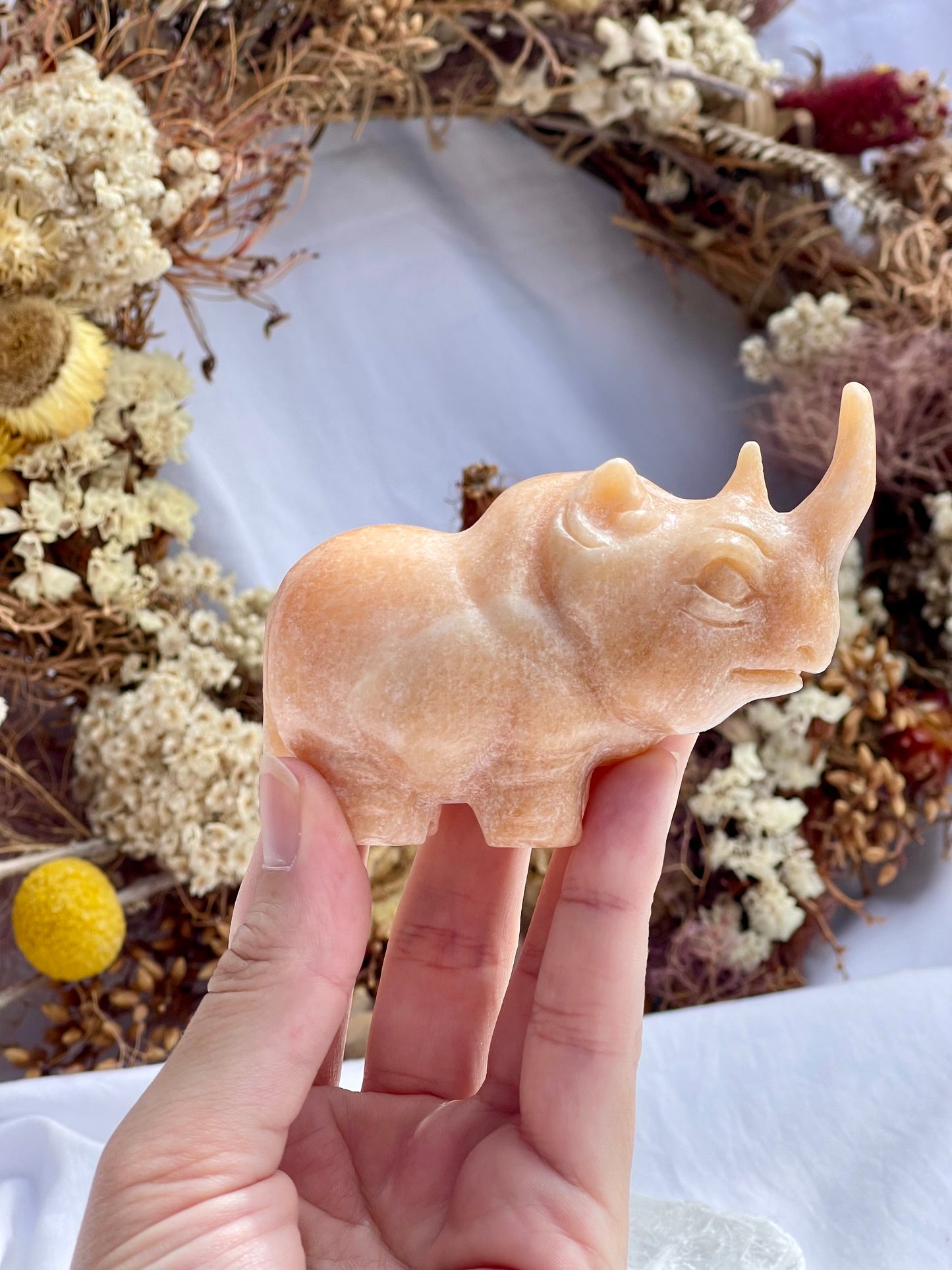Sunstone Rhino