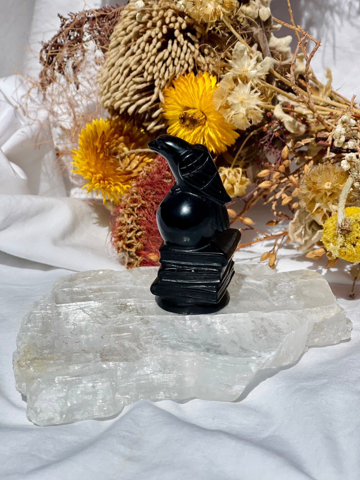 Black Obsidian Bird Skull