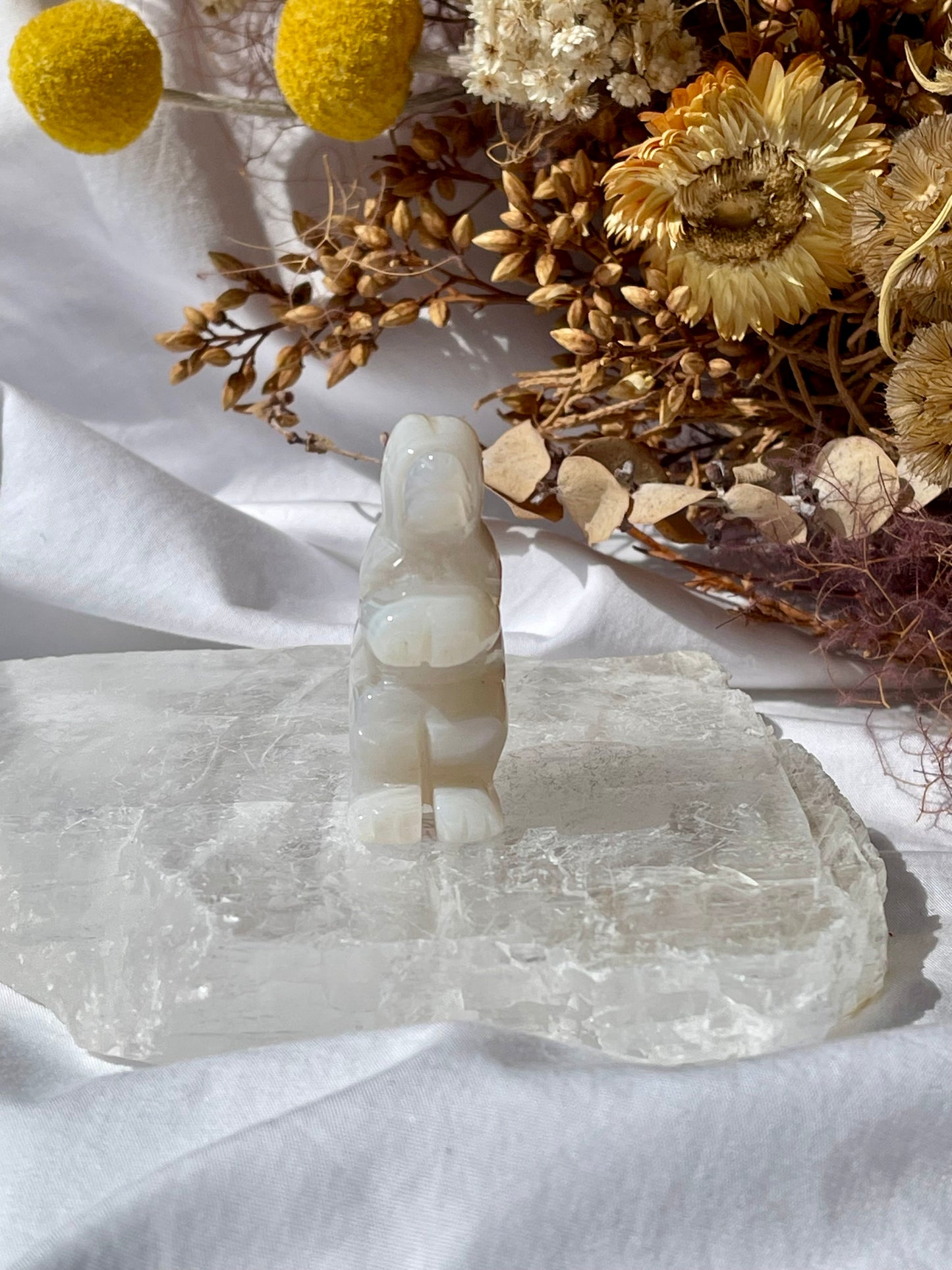 Agate T-Rex #3