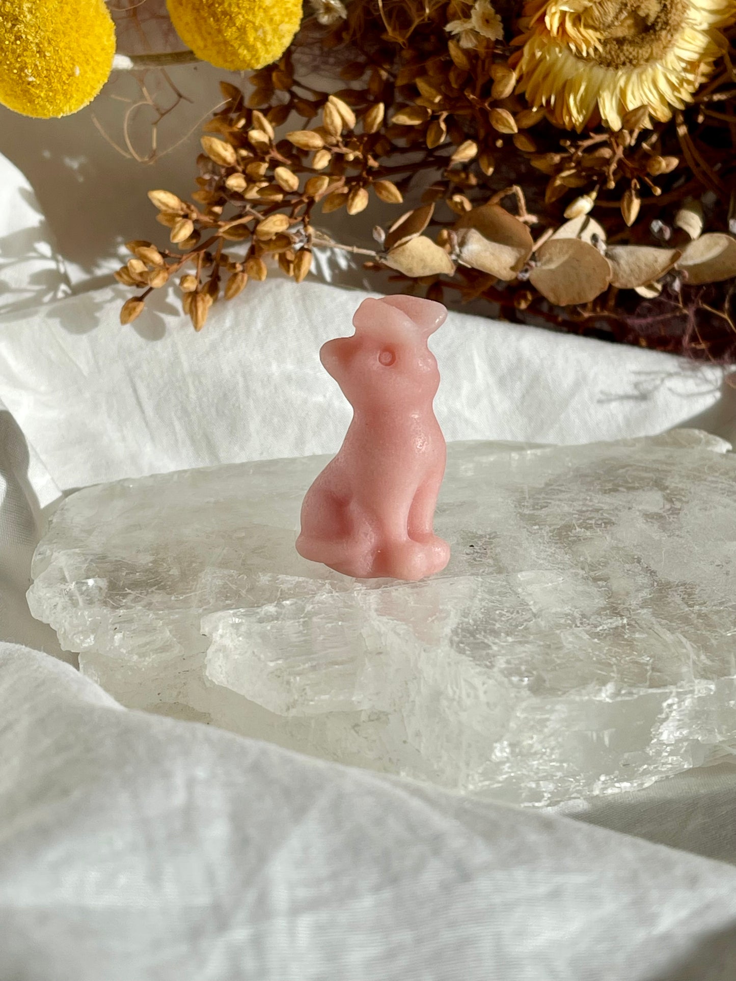 Pink Opal Cat With Butterfly