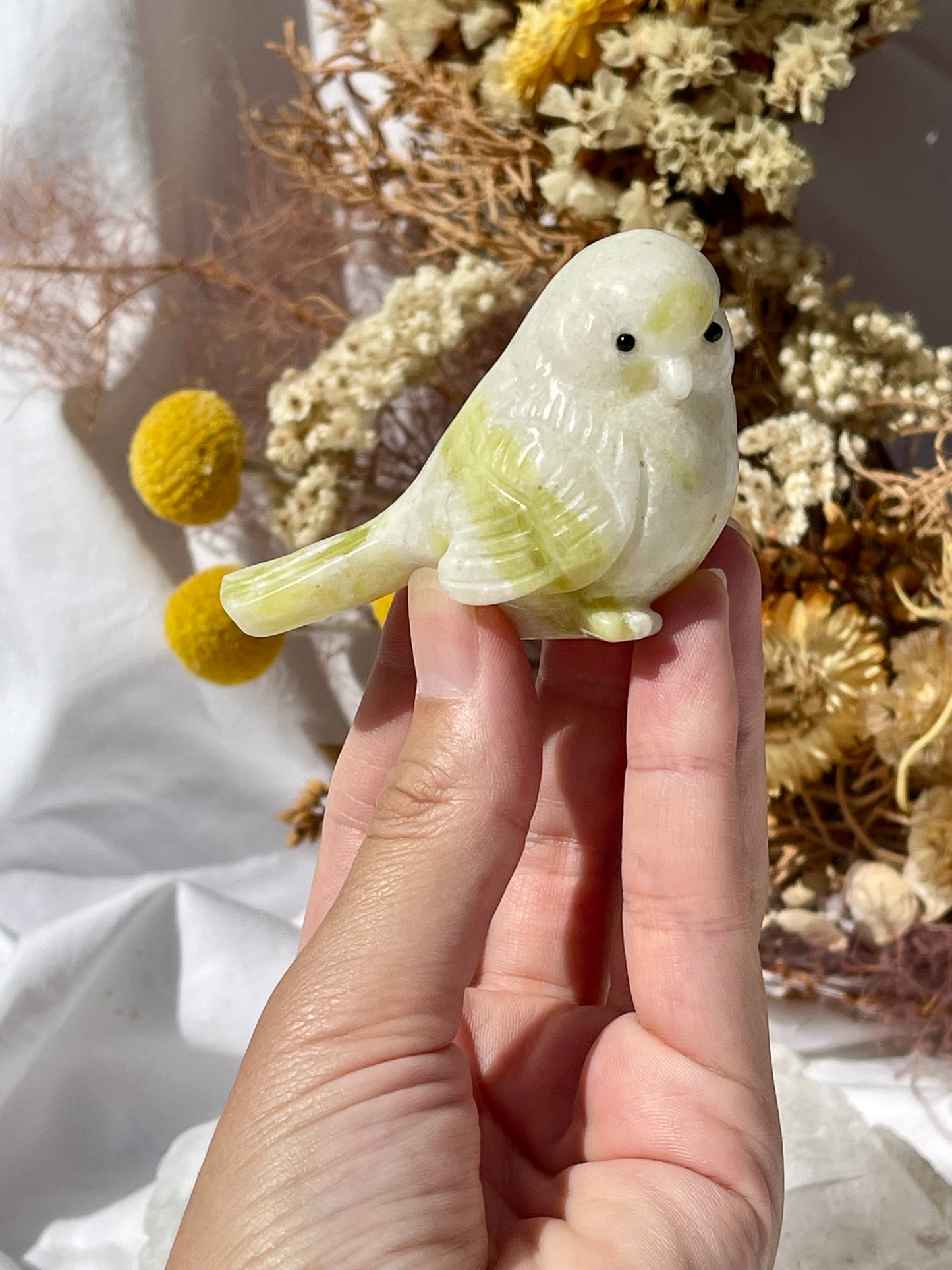 Lemon Jade Bird A