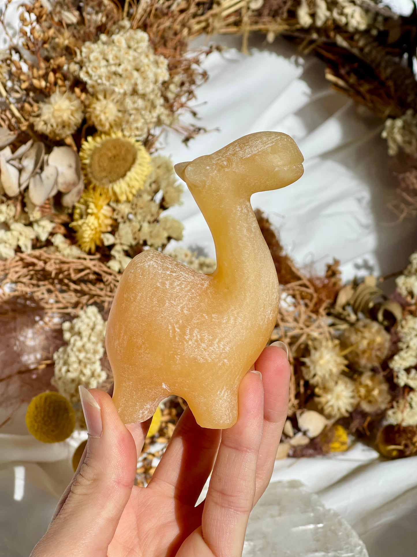 Orange Calcite Camel