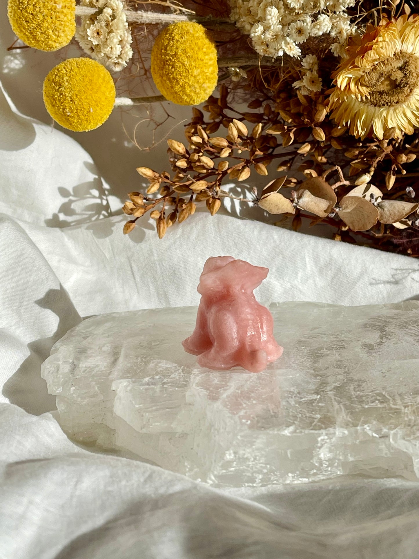 Pink Opal Baby Triceratops