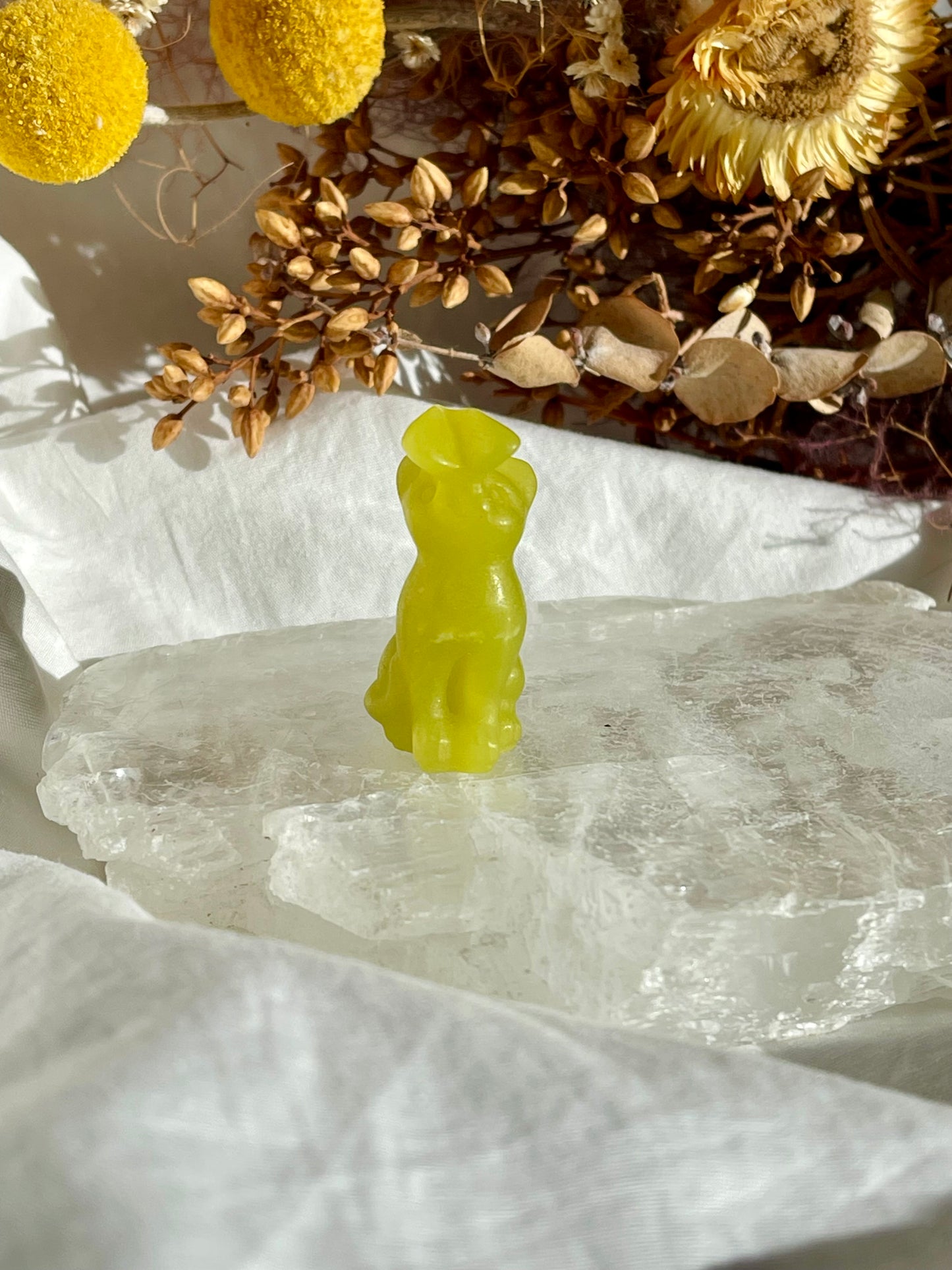 Lemon Jade Cat With Butterfly