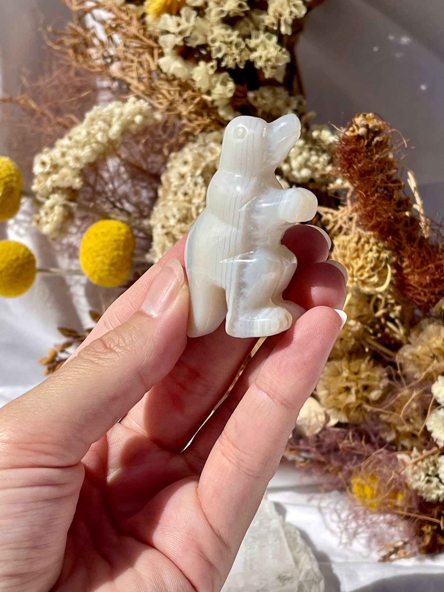 Agate T-Rex #3