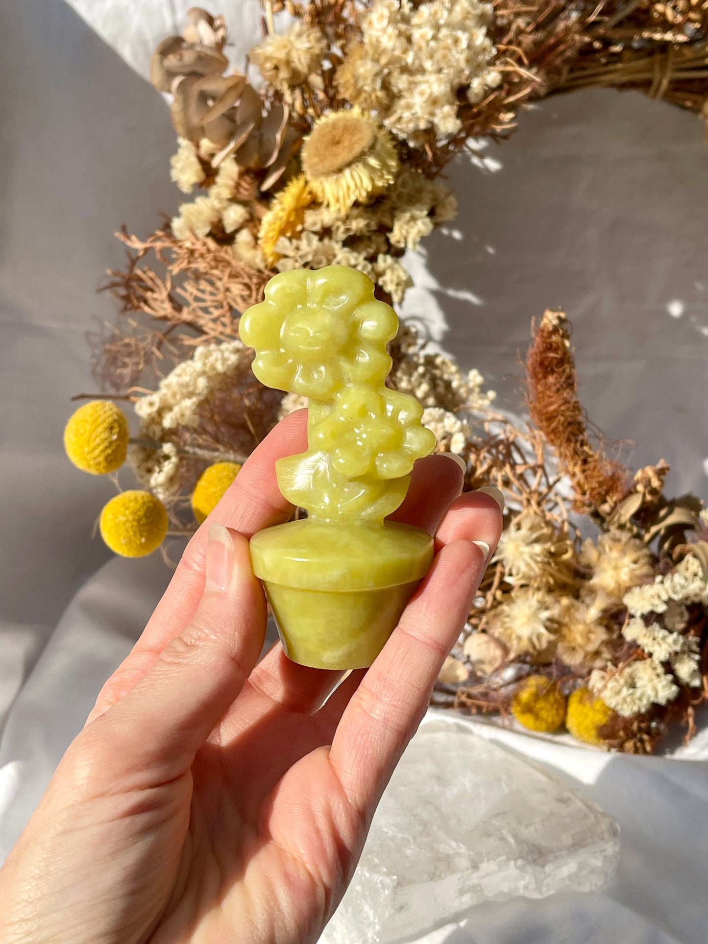 Lemon Jade Flower Pot