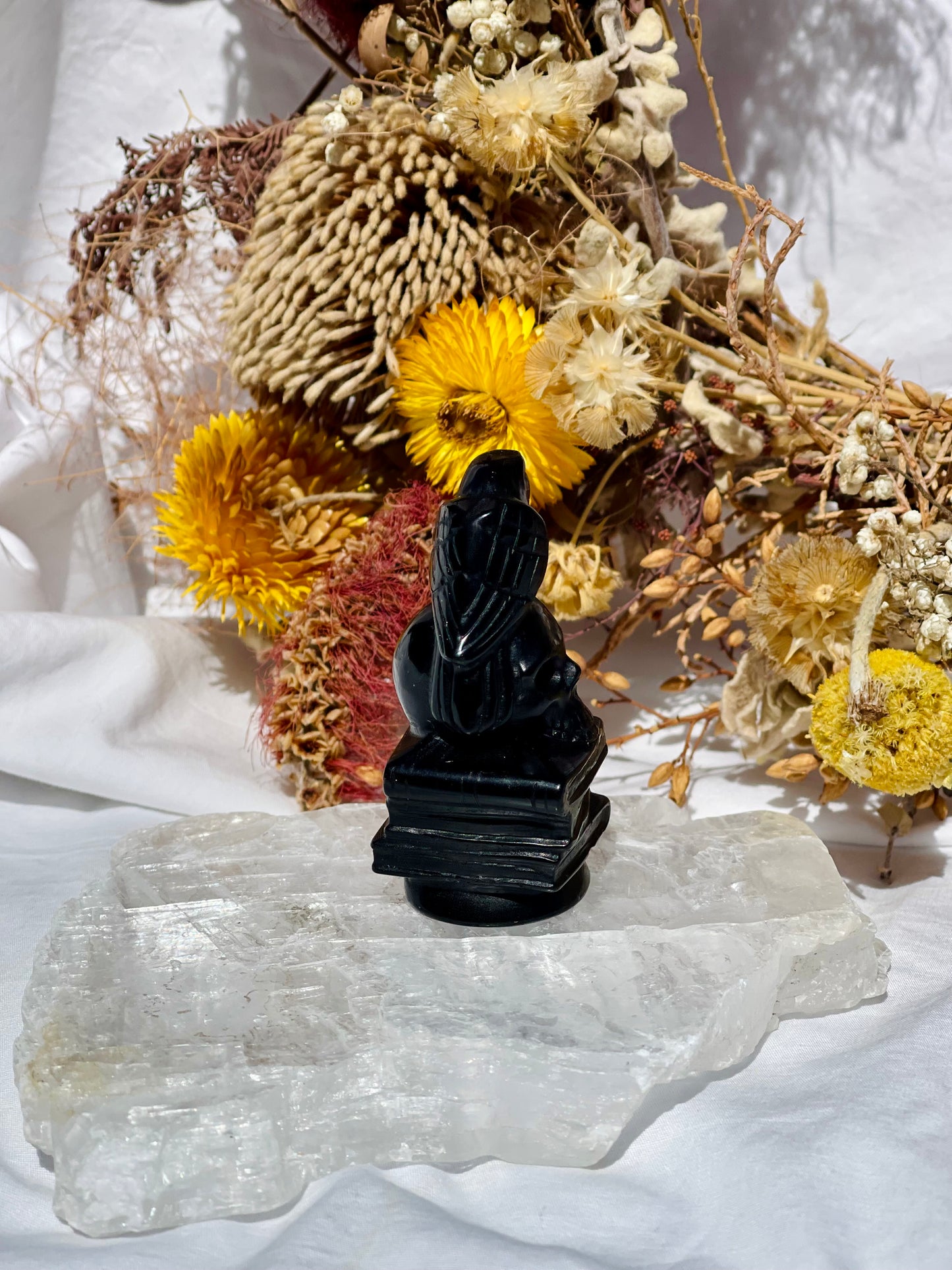 Black Obsidian Bird Skull