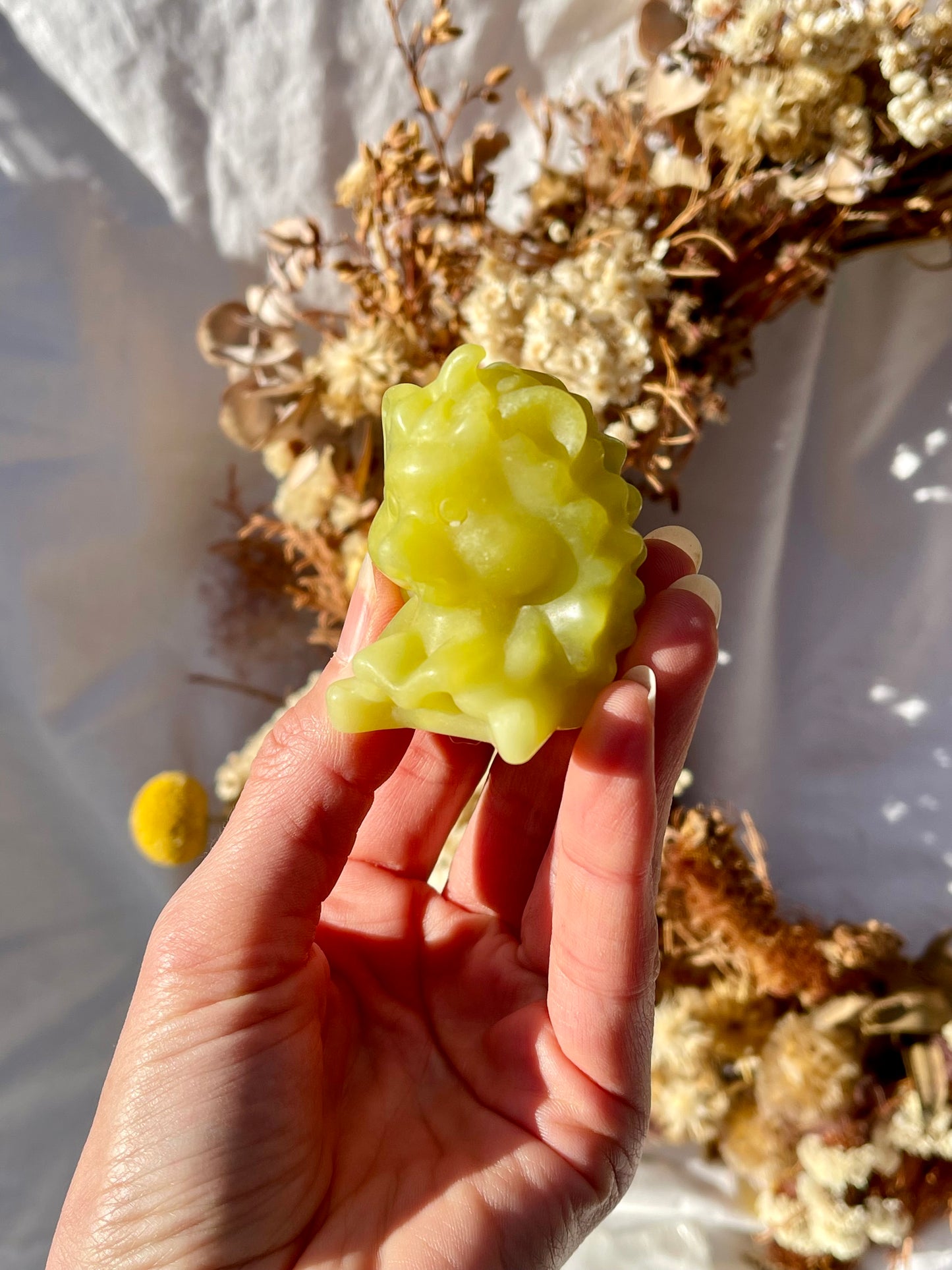 Lemon Jade Hedgehog