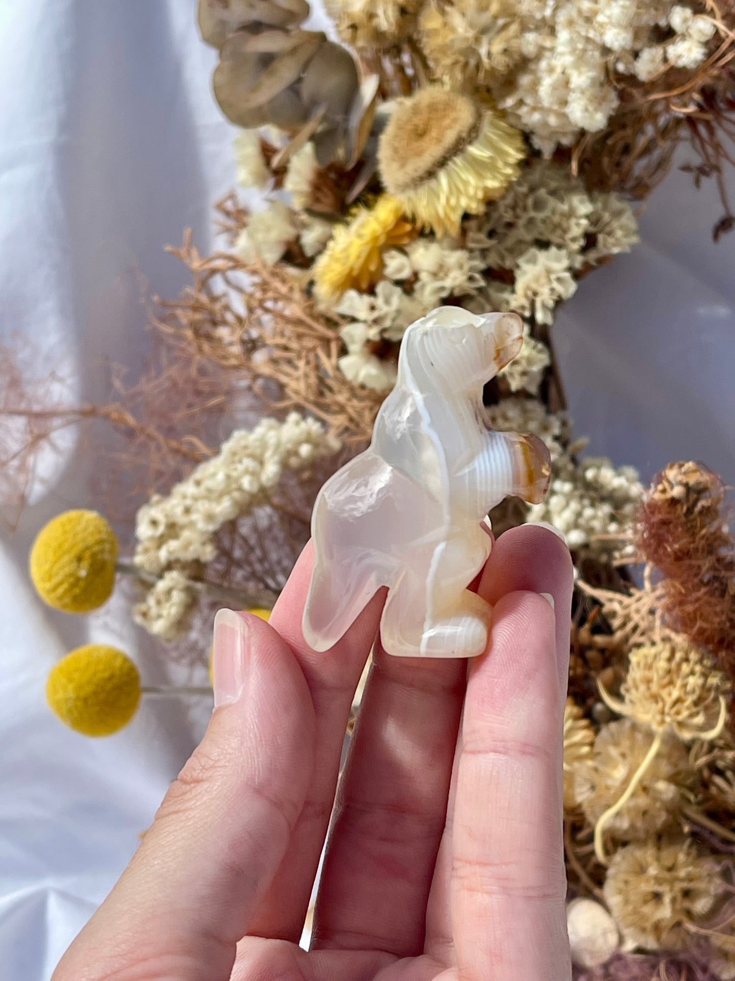 Agate T-Rex #1