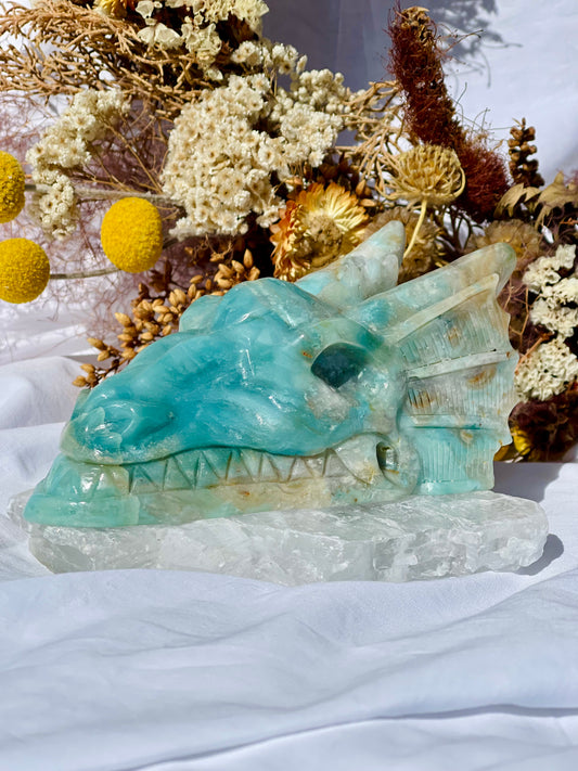 Brazilian Amazonite Dragon Head