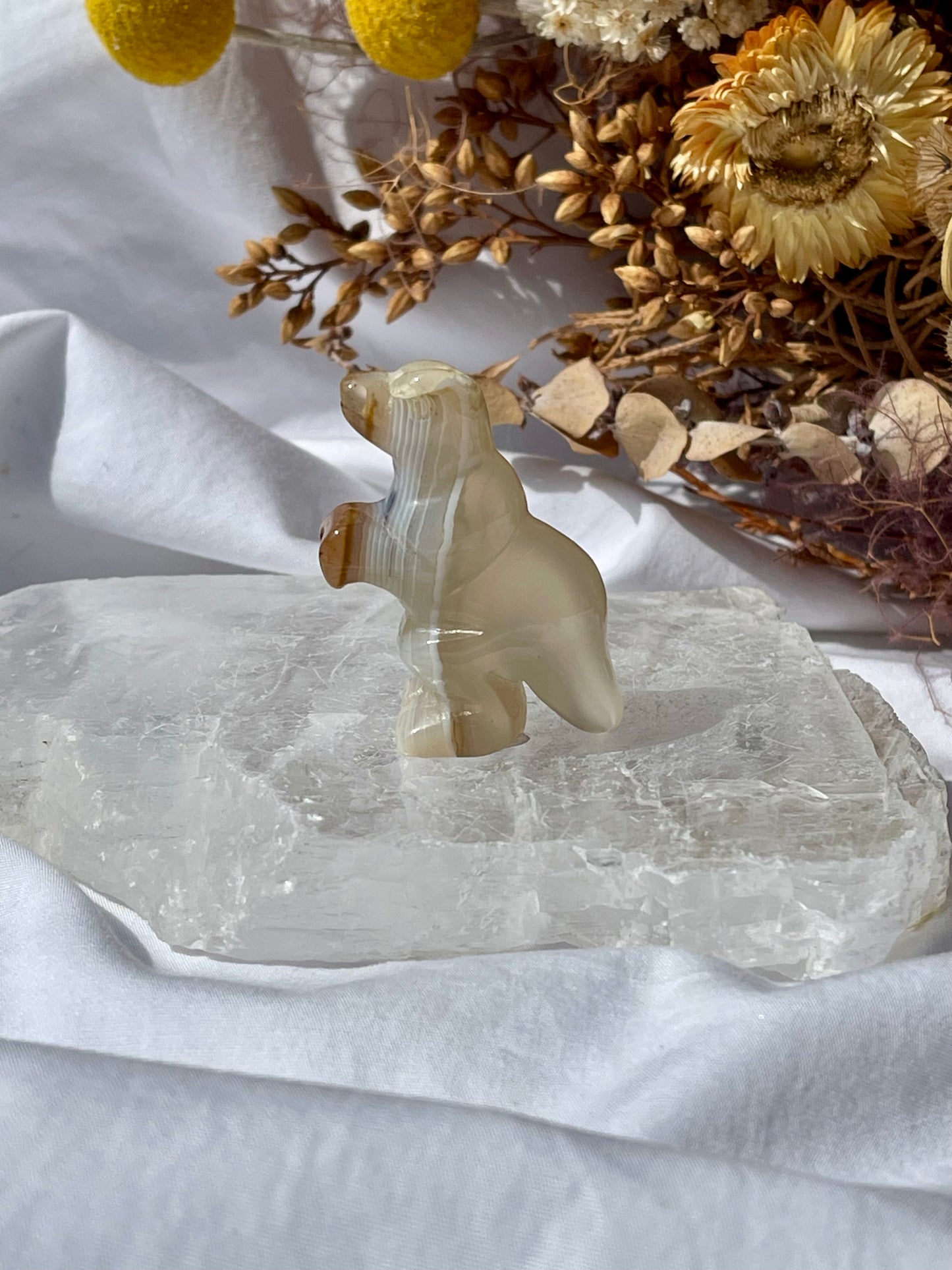 Agate T-Rex #1