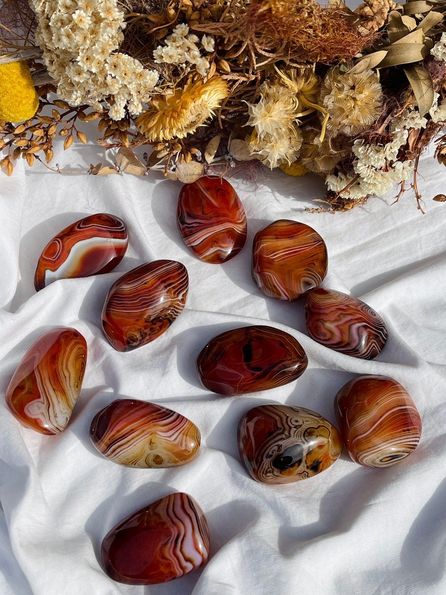 Sardonyx Jumbo Tumble