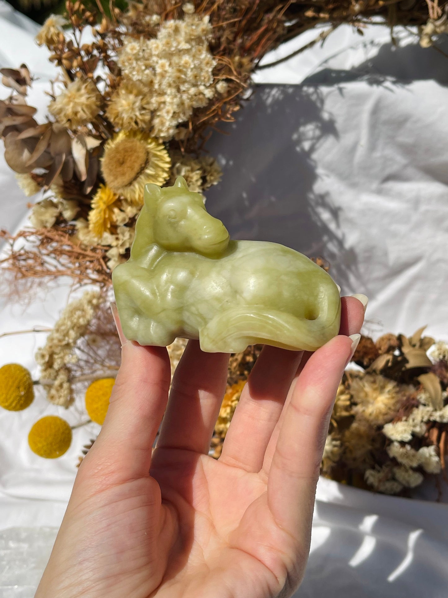 Lemon Jade Horse