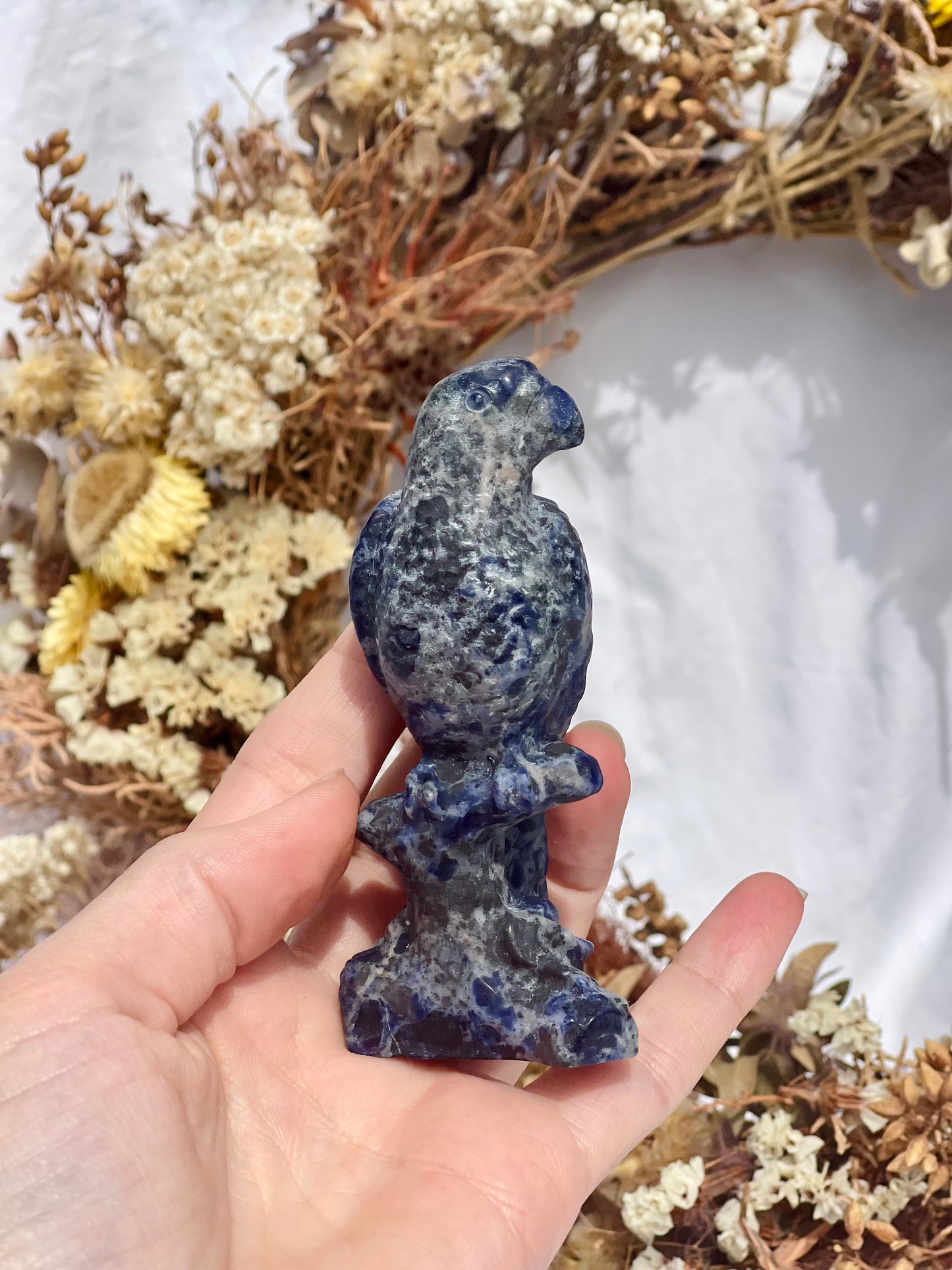 Sodalite Parrot