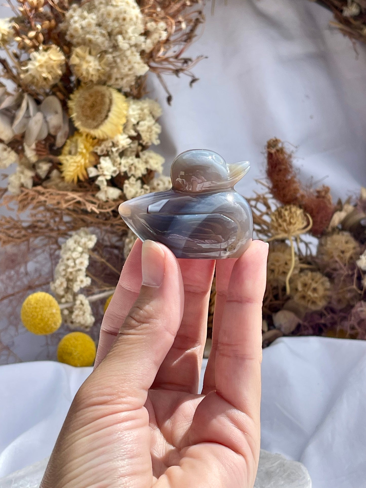 Agate Duck #1
