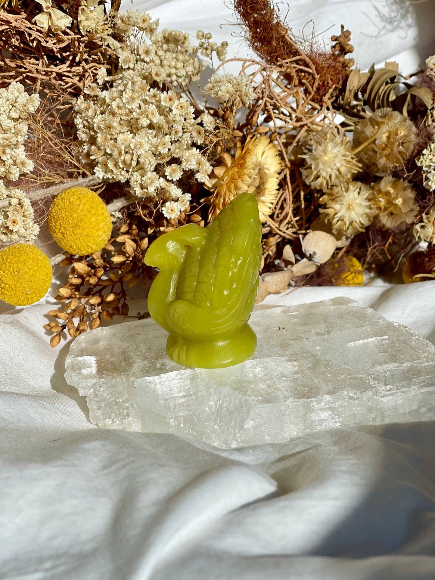 Lemon Jade Peacock
