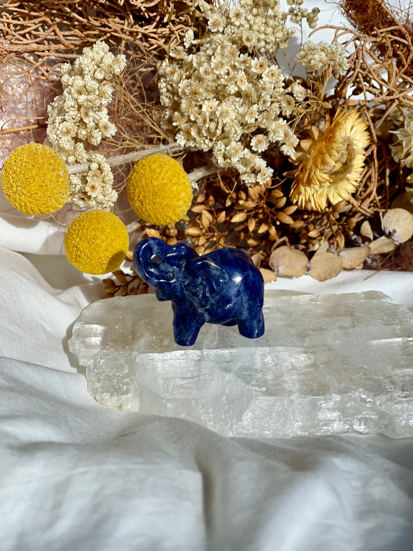 Sodalite Elephant #2
