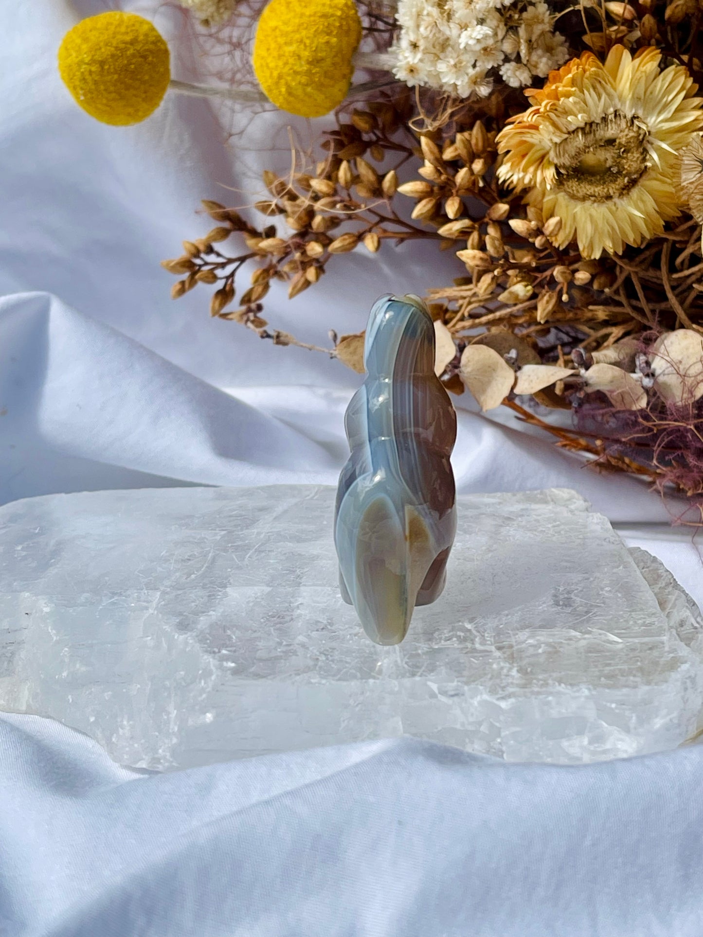 Agate T-Rex #2