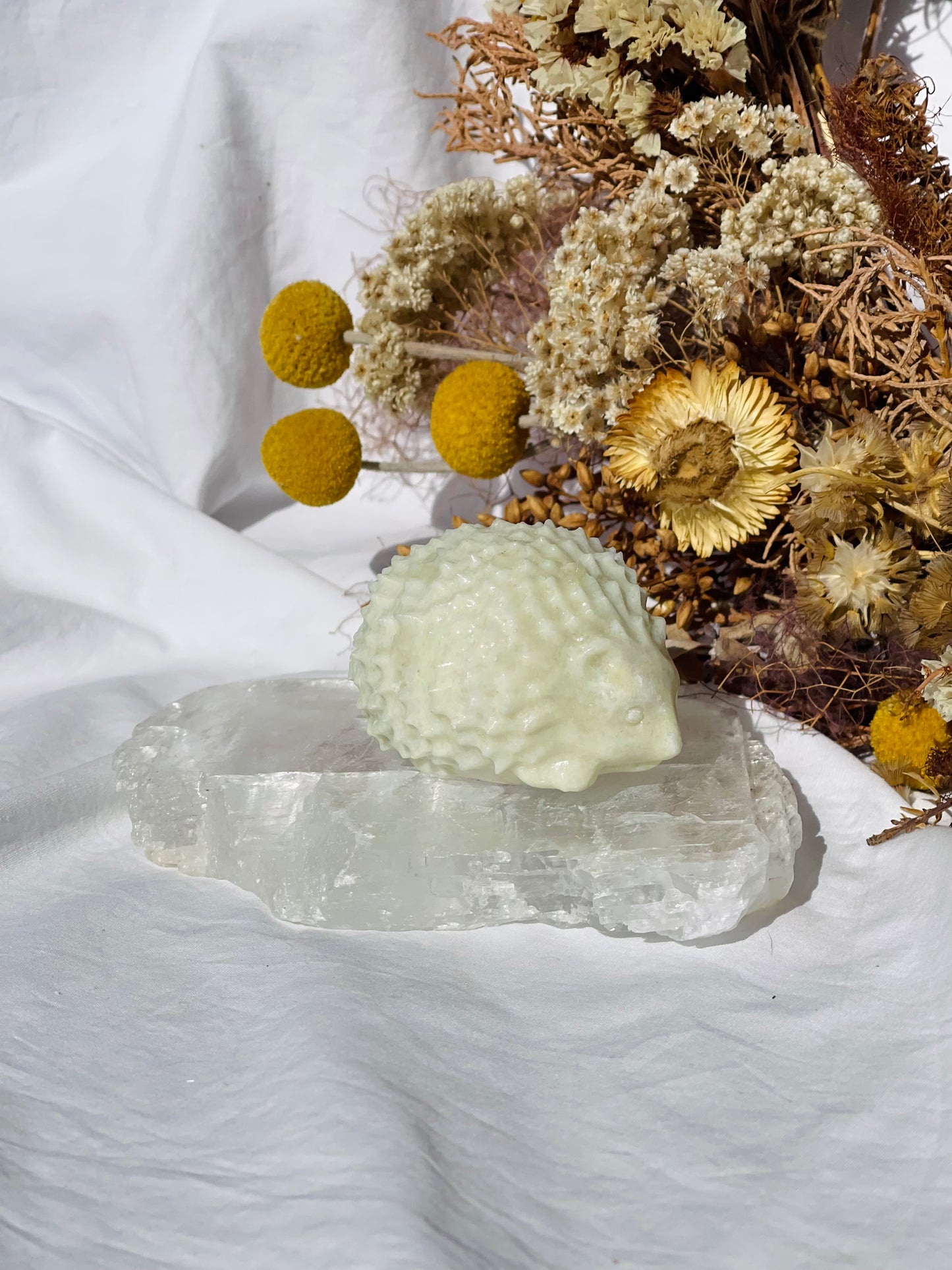 Lemon Jade Hedgehog #2