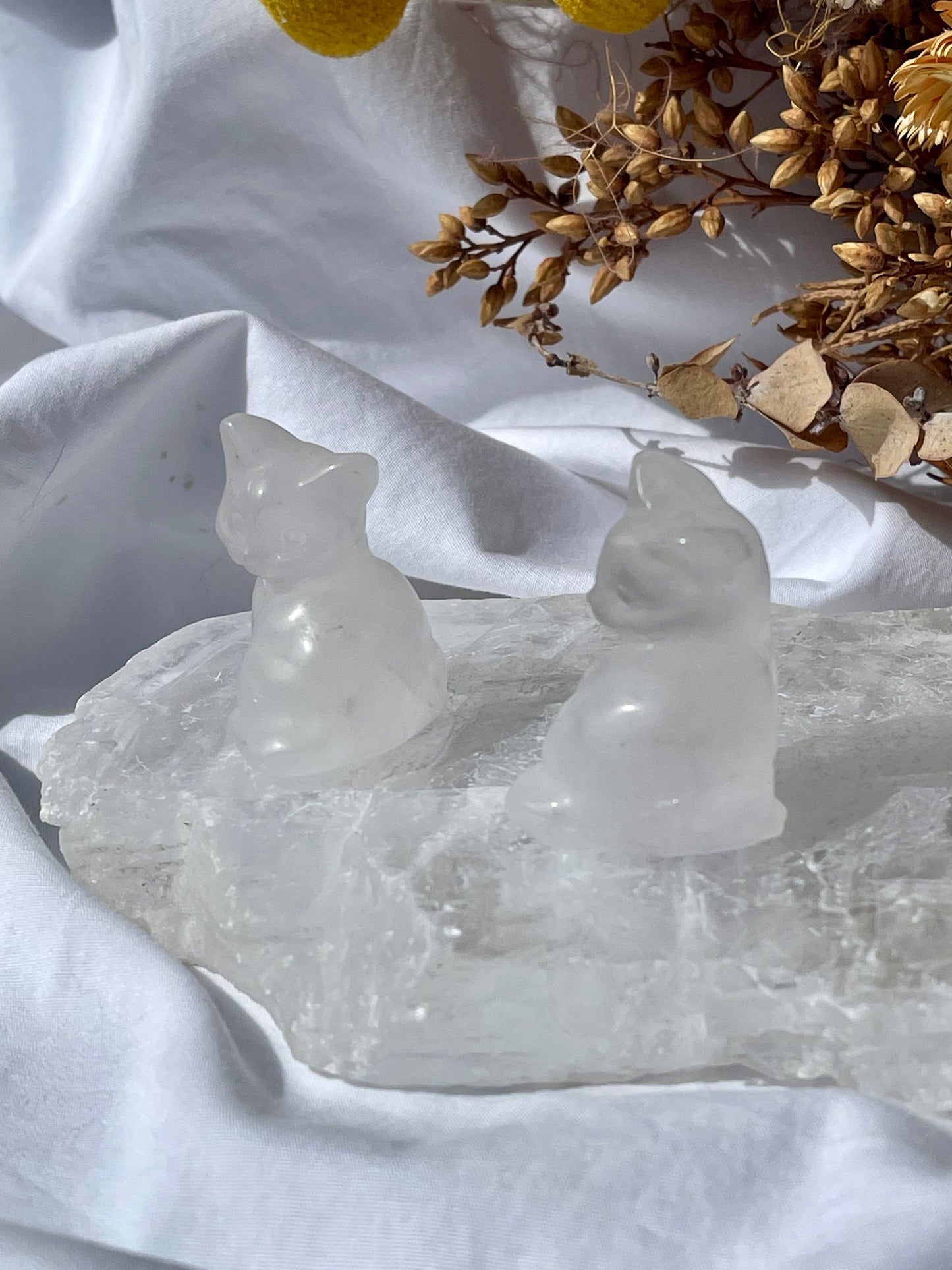 Clear Quartz cat
