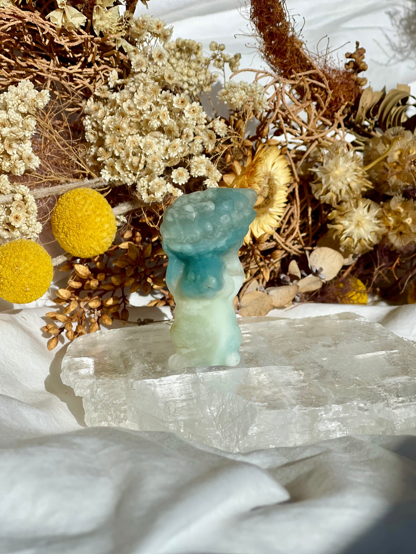Brazilian Amazonite Squirrel #1