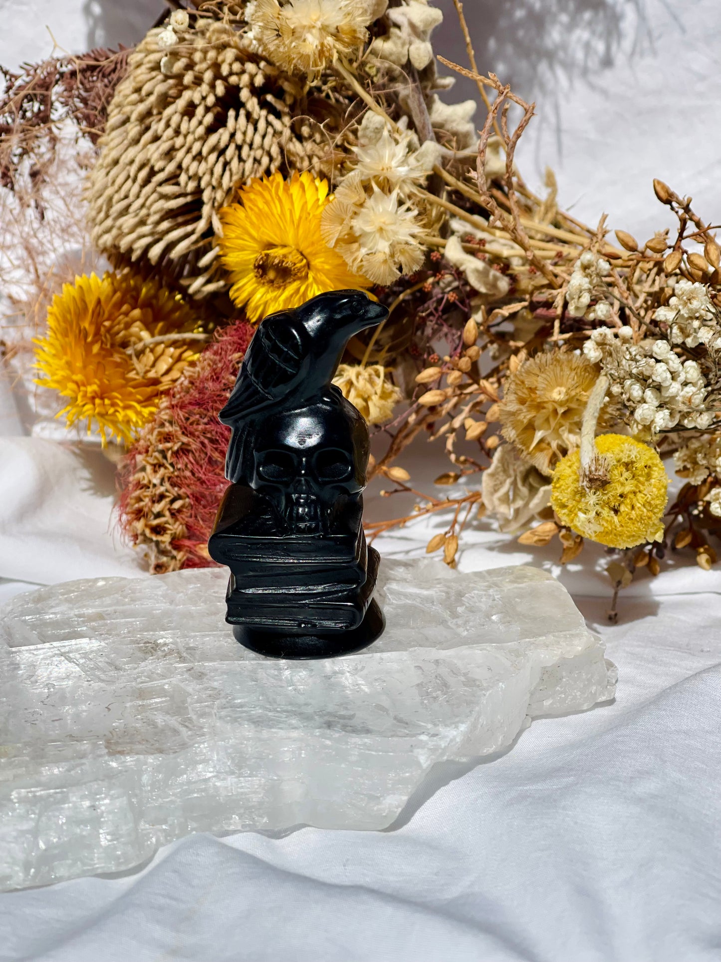 Black Obsidian Bird Skull