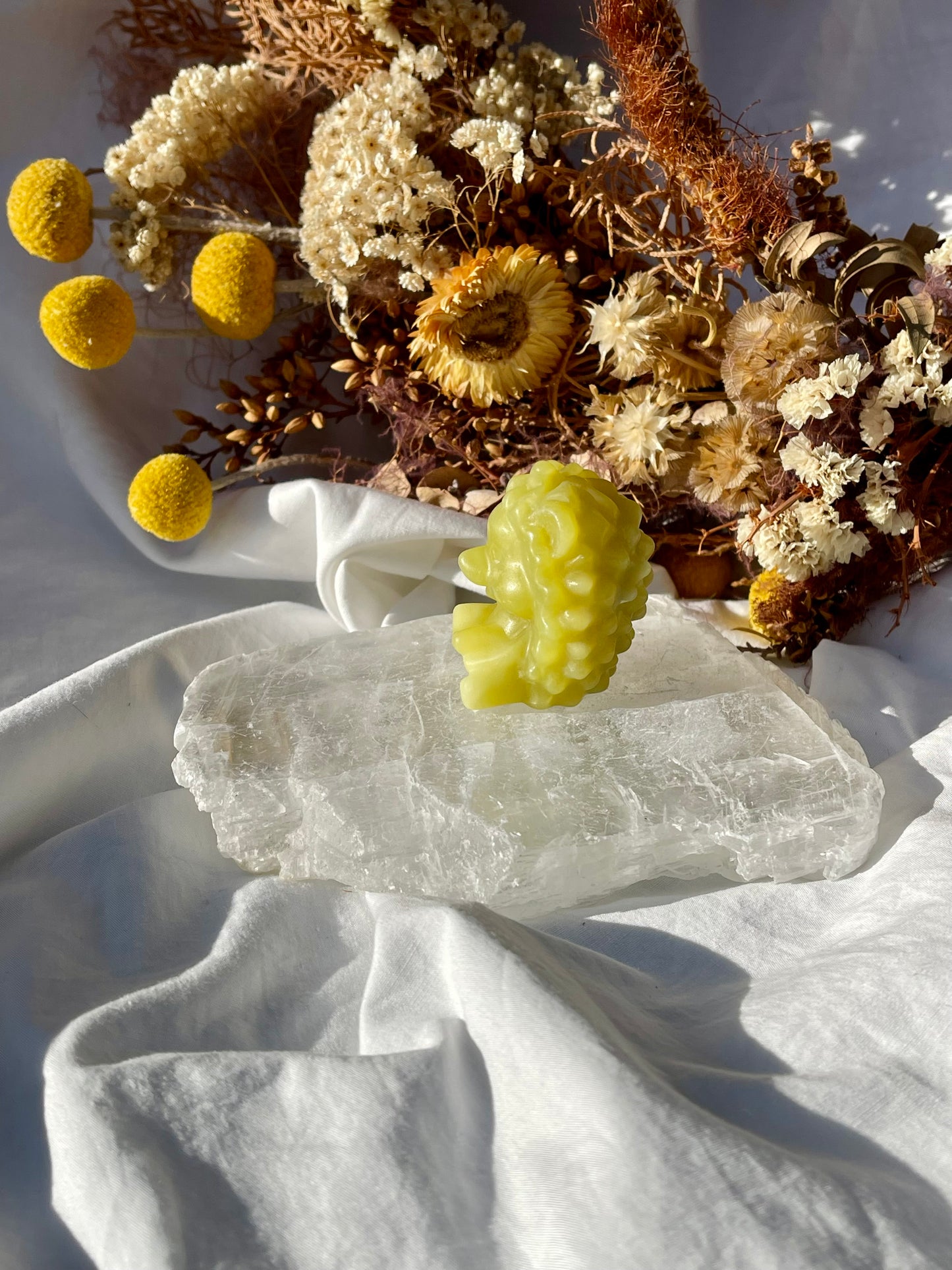 Lemon Jade Hedgehog